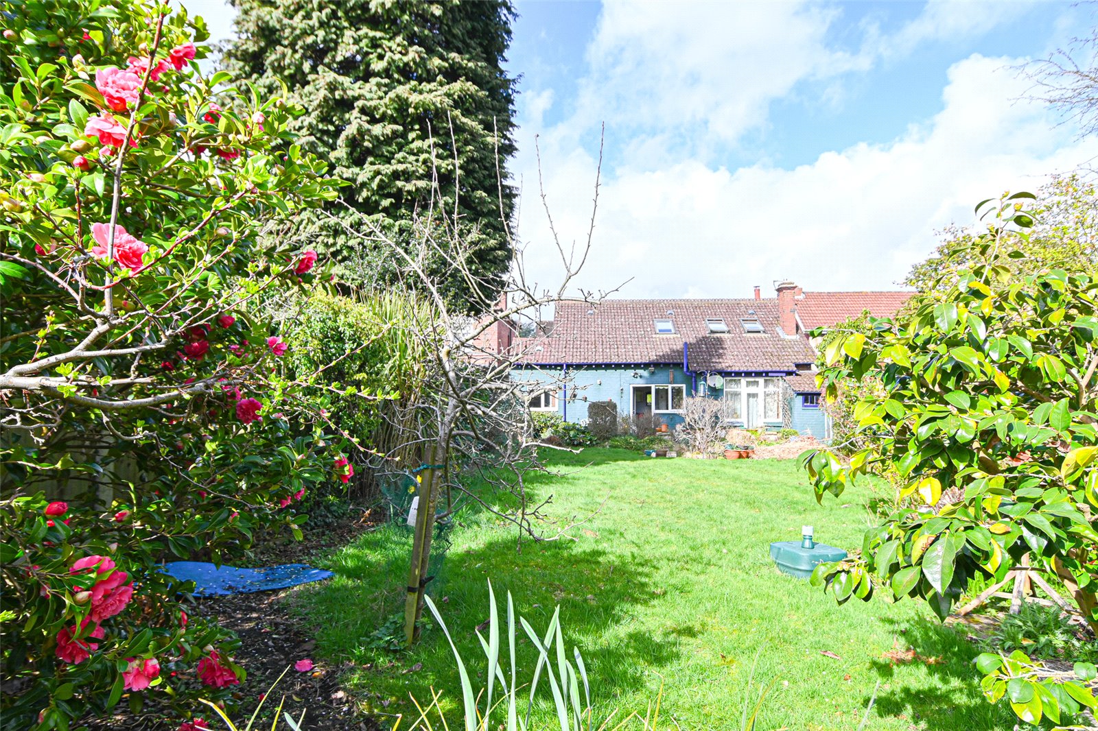 Photos of Willow Avenue, Edgbaston, West Midlands B17 64257587