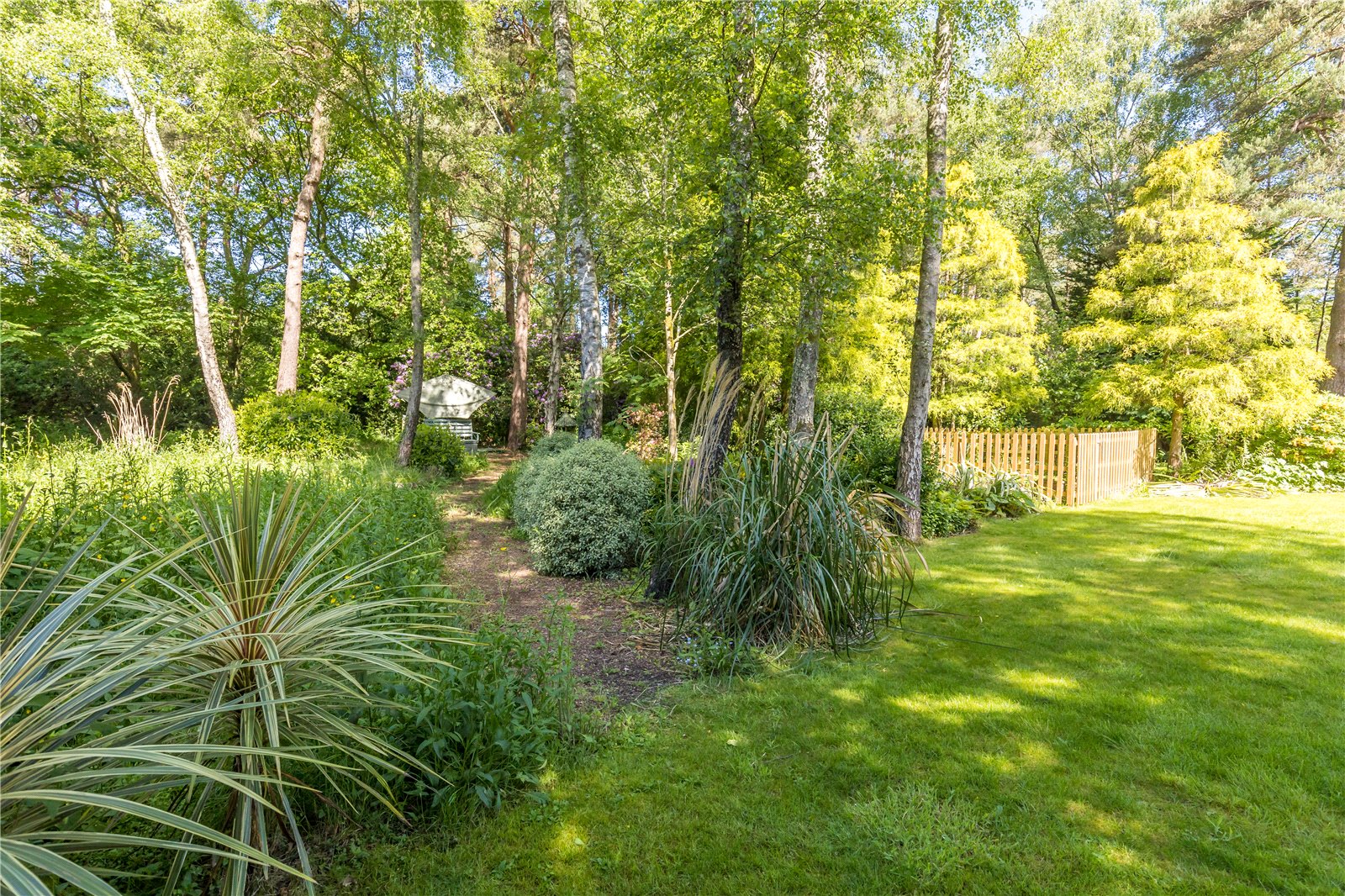 Photos of Avon Castle Drive, Avon Castle, Ringwood BH24 61590864