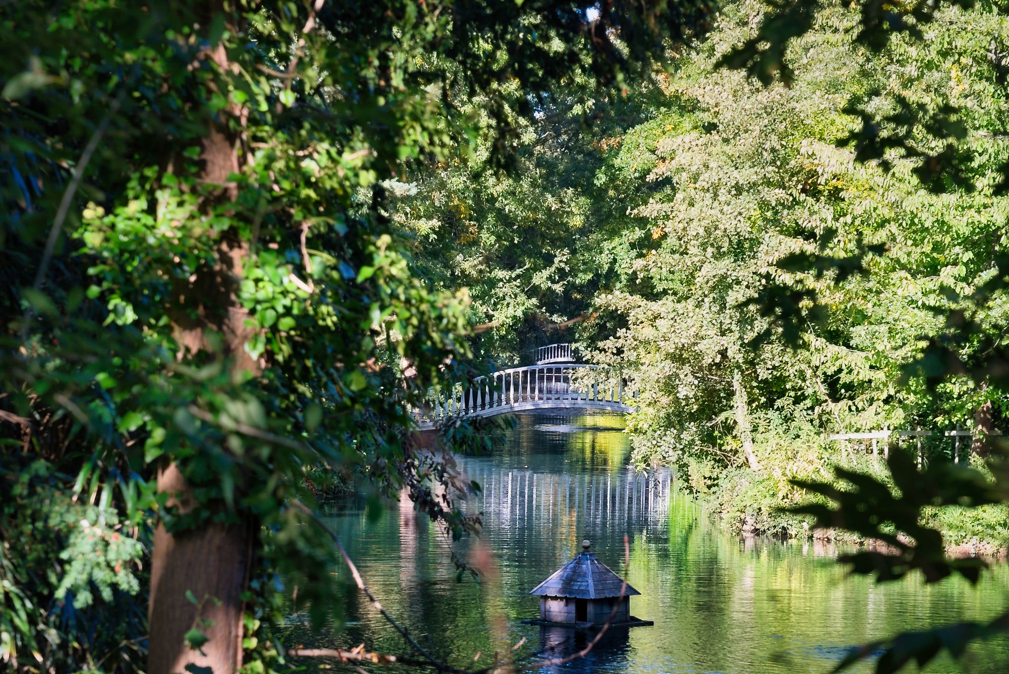 4 bedroom detached house for sale 0