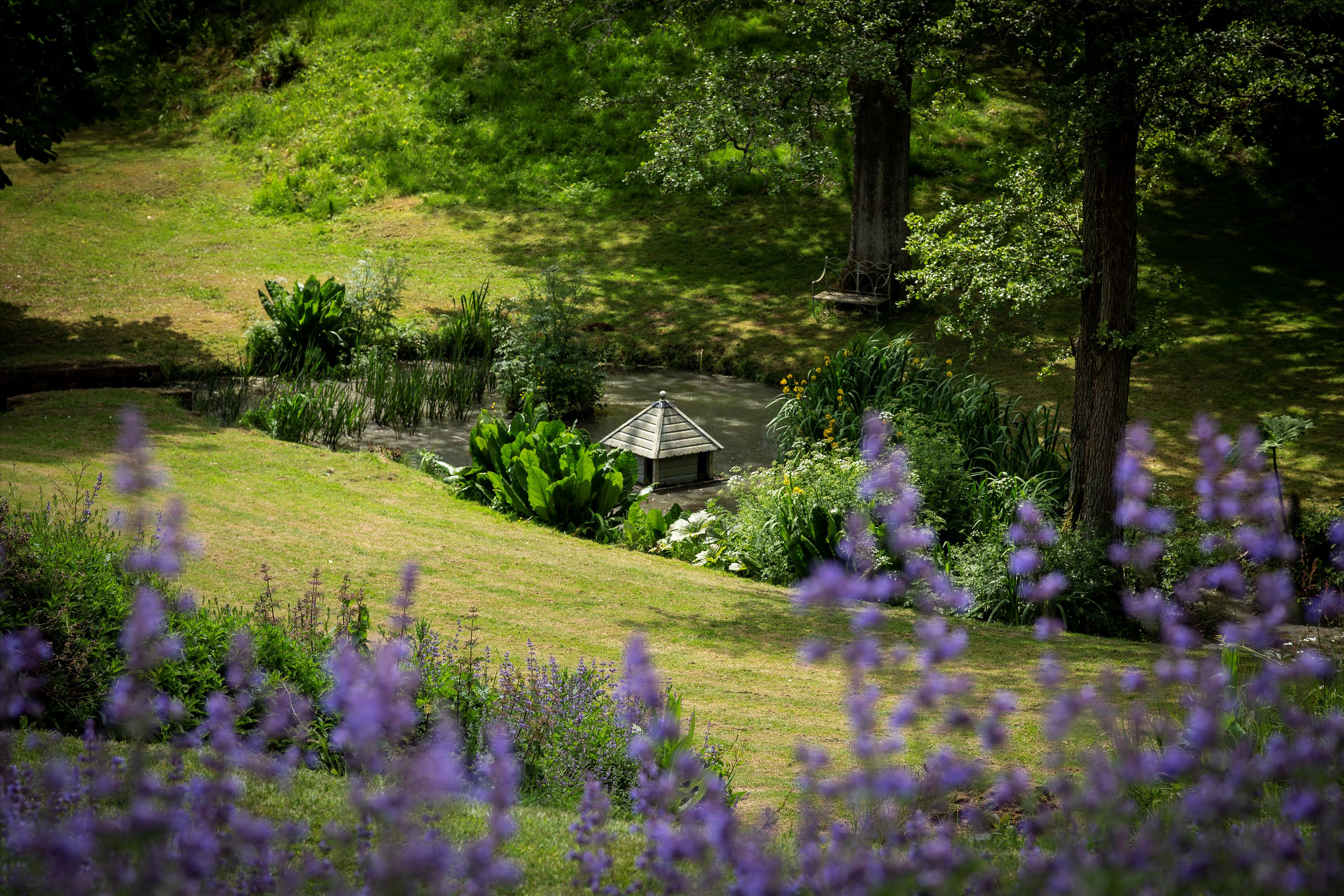 Photos of Mill Lane, Chiddingfold, Godalming, Surrey GU8. 64945271