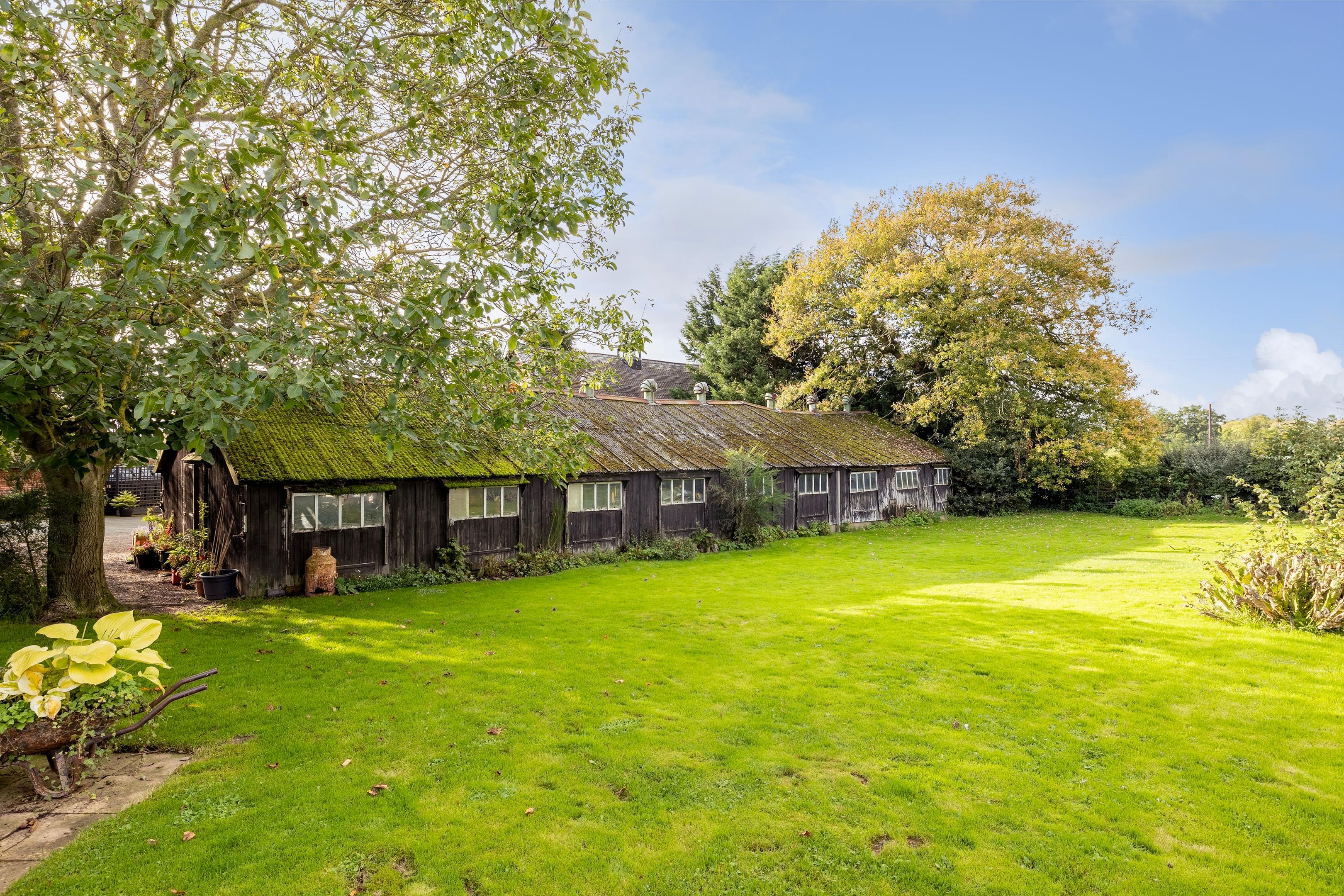 Photos of Fitz, Bomere Heath, Shrewsbury, Shropshire SY4 65930532