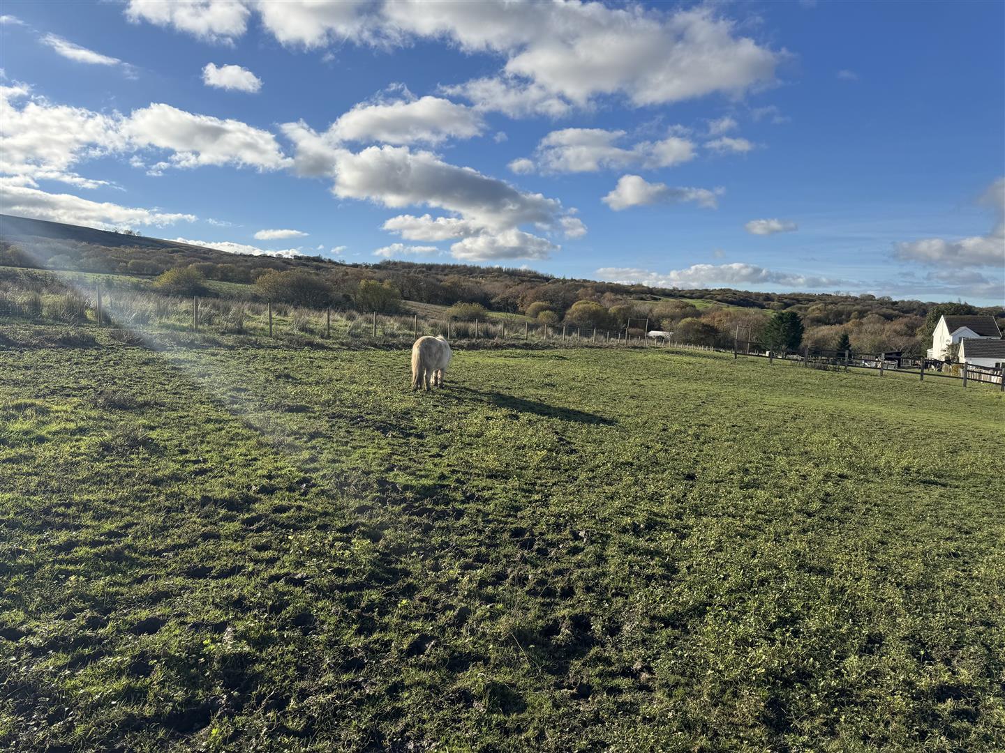 Plot and Paddock, Bryncethin Road, Ammanford photo 5