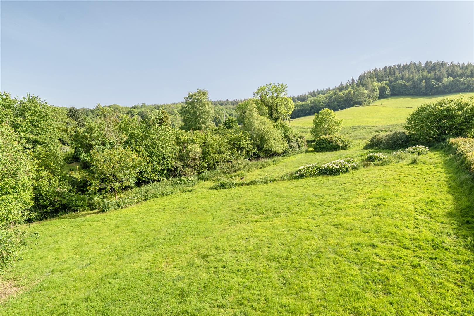 COMING SOON, 21 Southernhay West, Exeter photo 4