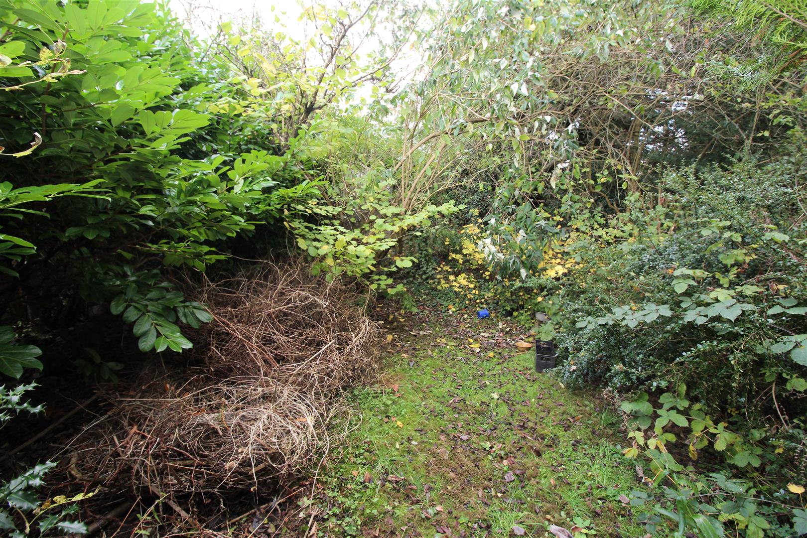 Free property report 8 Brayford Avenue, Coventry, CV3 5BS Chimnie