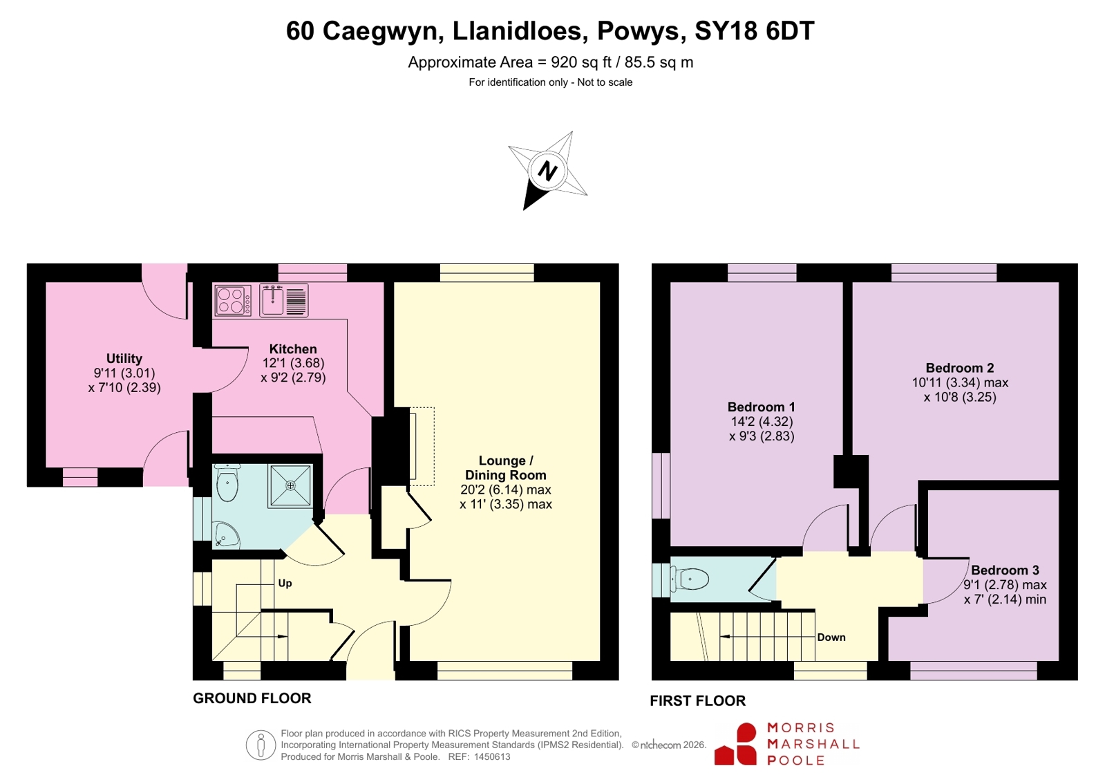 60, Caegwyn, Powys floorplan