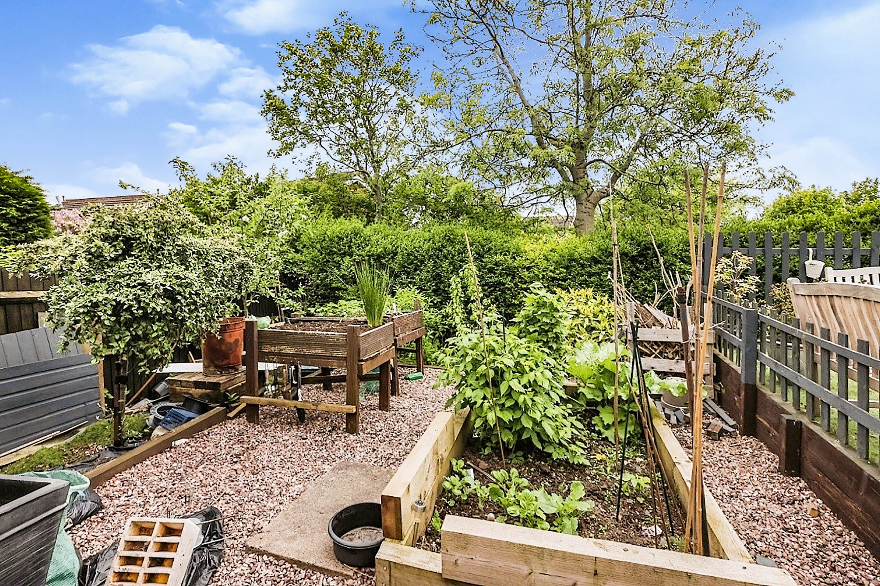 Photos of Ross, Rowley Regis B65 64659463 PrimeLocation