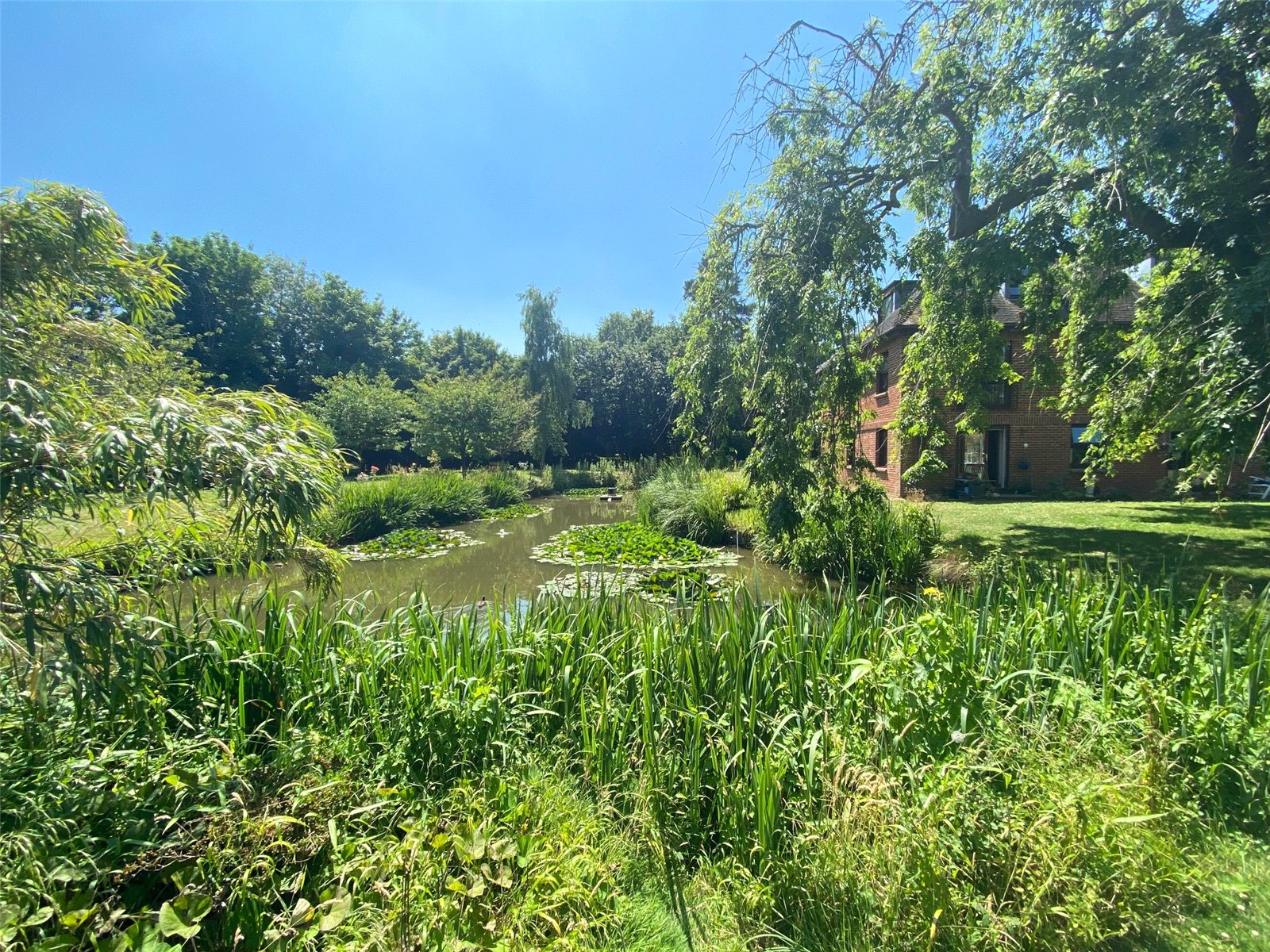 Photos of Delves Close, Ringmer, Lewes BN8 61952381 PrimeLocation