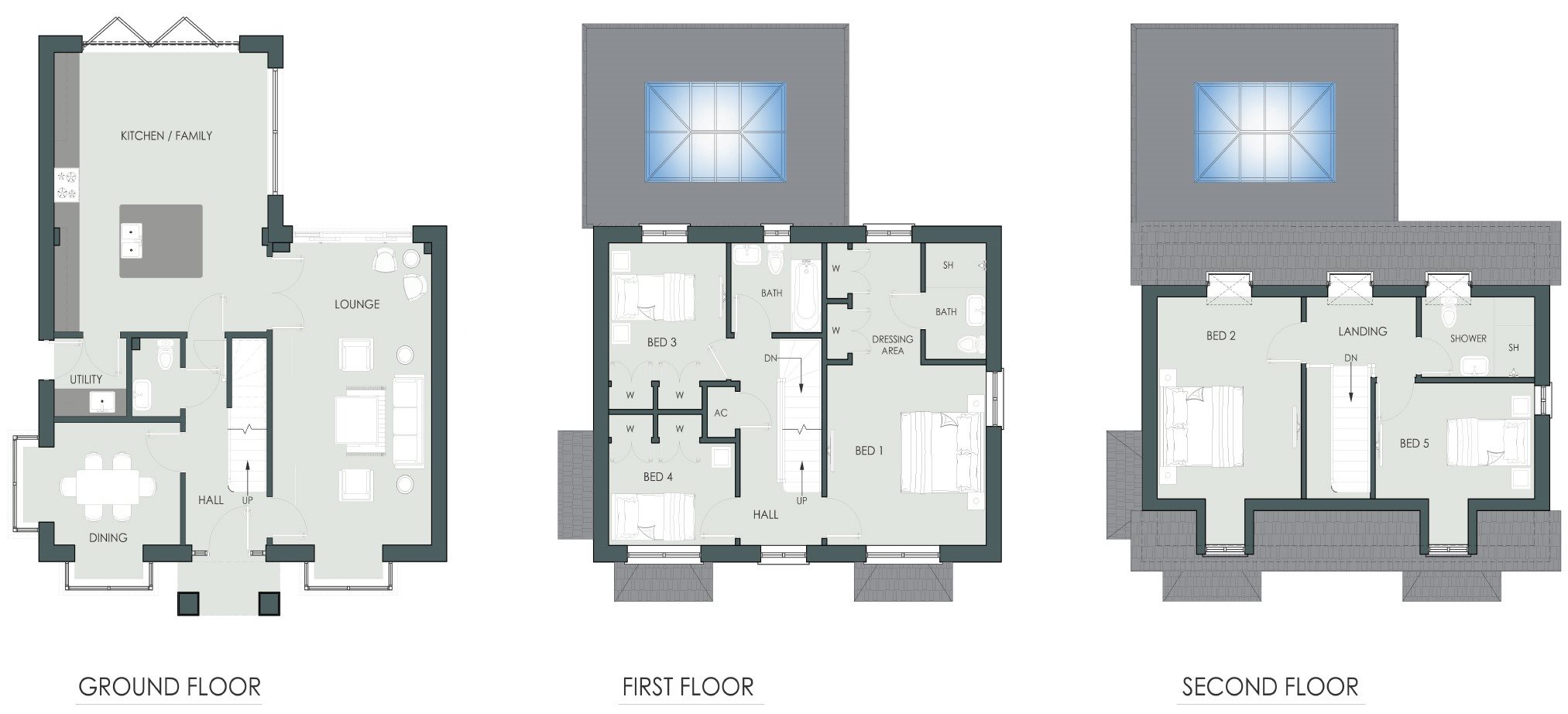 The Caraway, Gwladus Gardens, Raglan floorplan