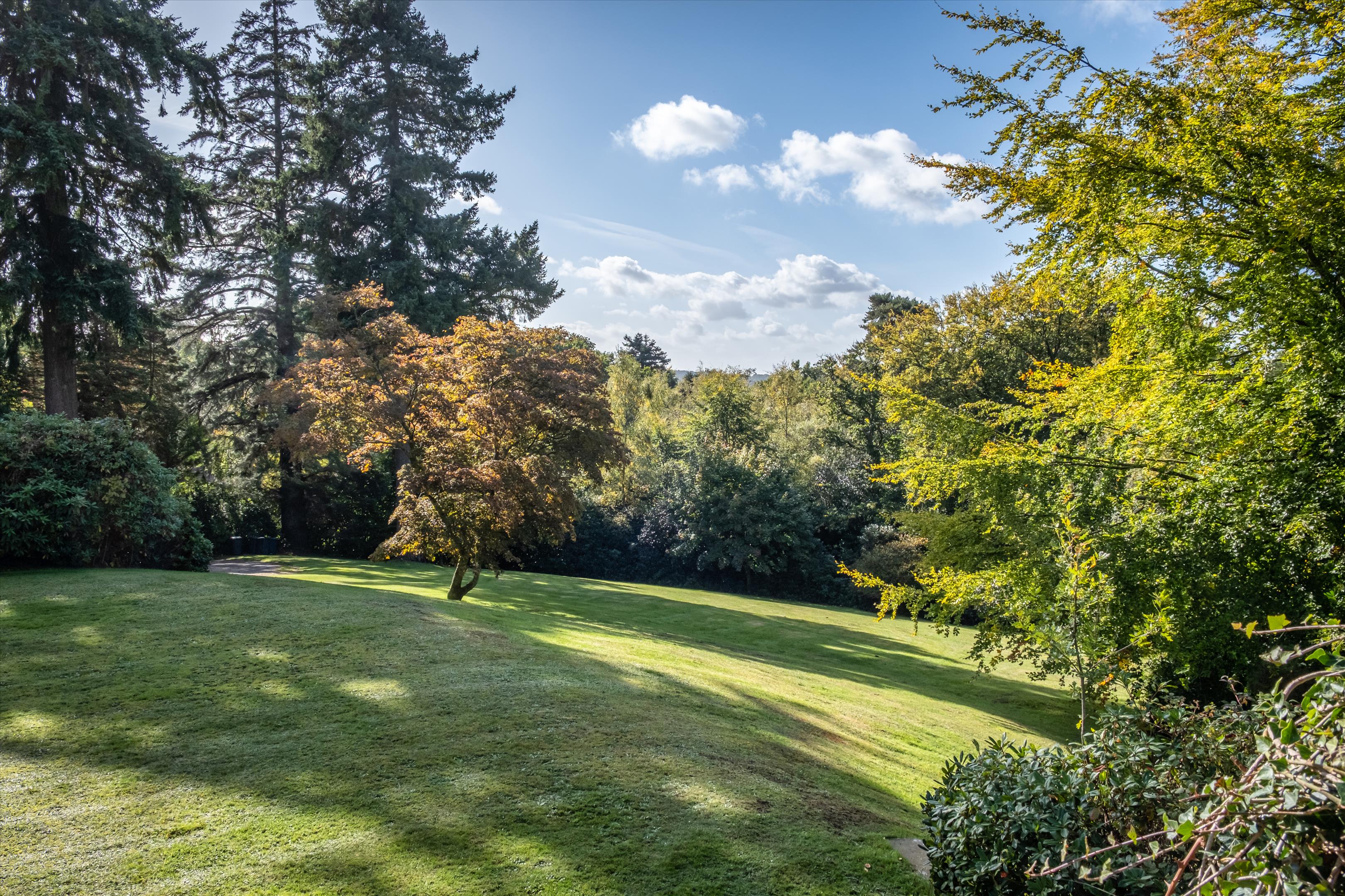 Photos of Farnham Lane, Haslemere, Surrey GU27. 62629994 PrimeLocation