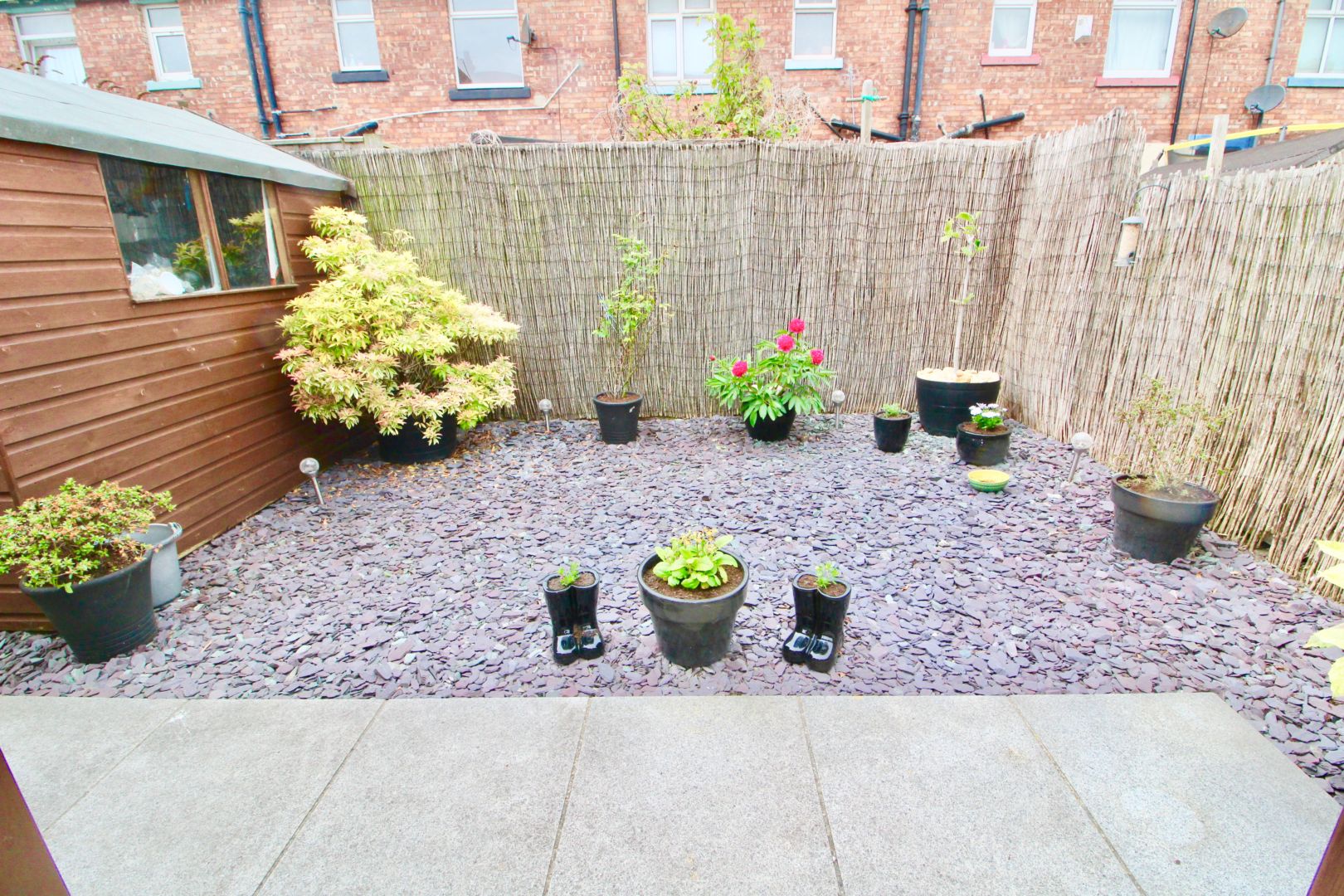 Free property report 36 Spring Garden Road, Hartlepool, TS25 5AD Chimnie