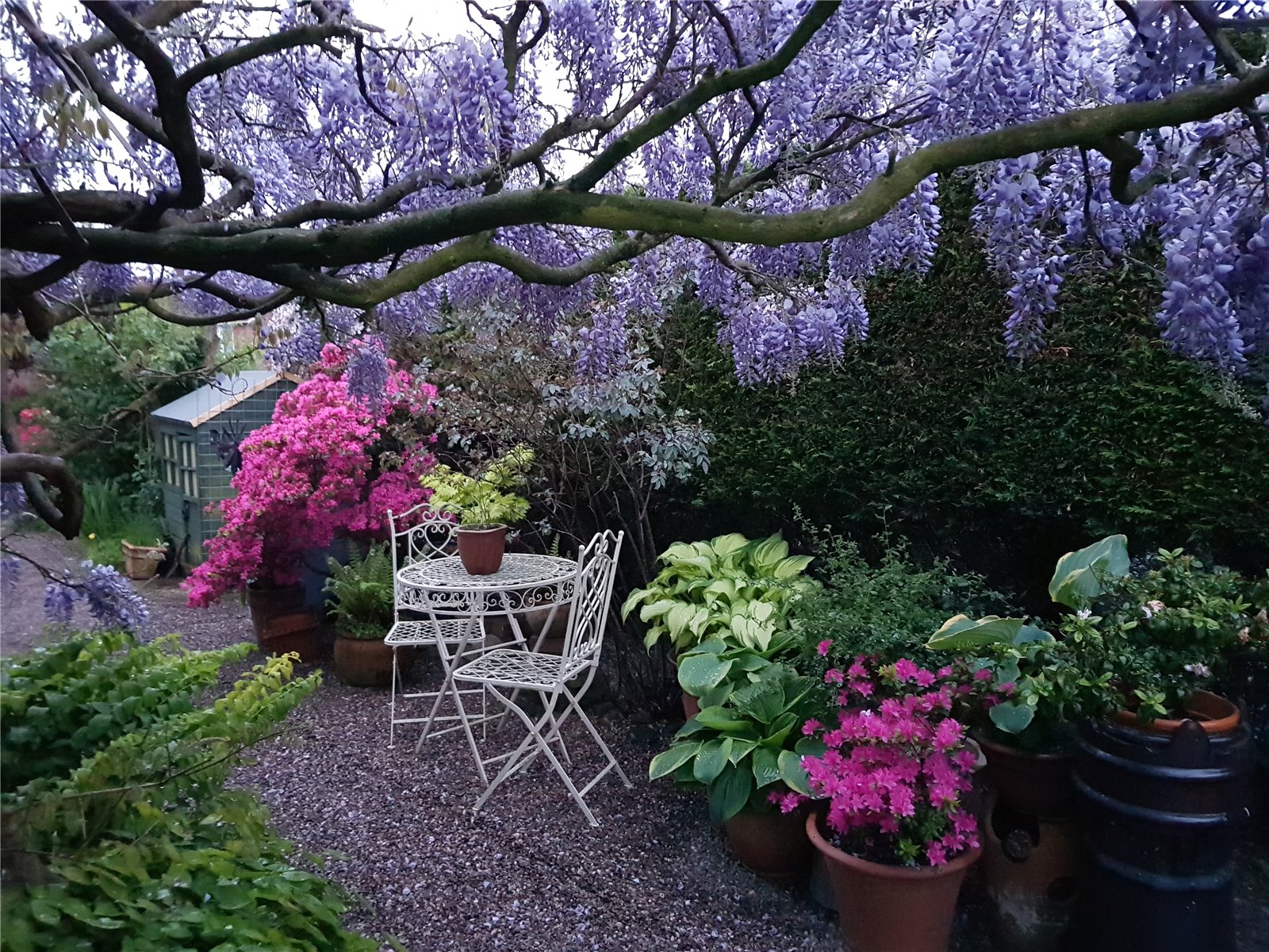 Photos of Ellis Street, Crewe, Cheshire CW1 67034726 PrimeLocation