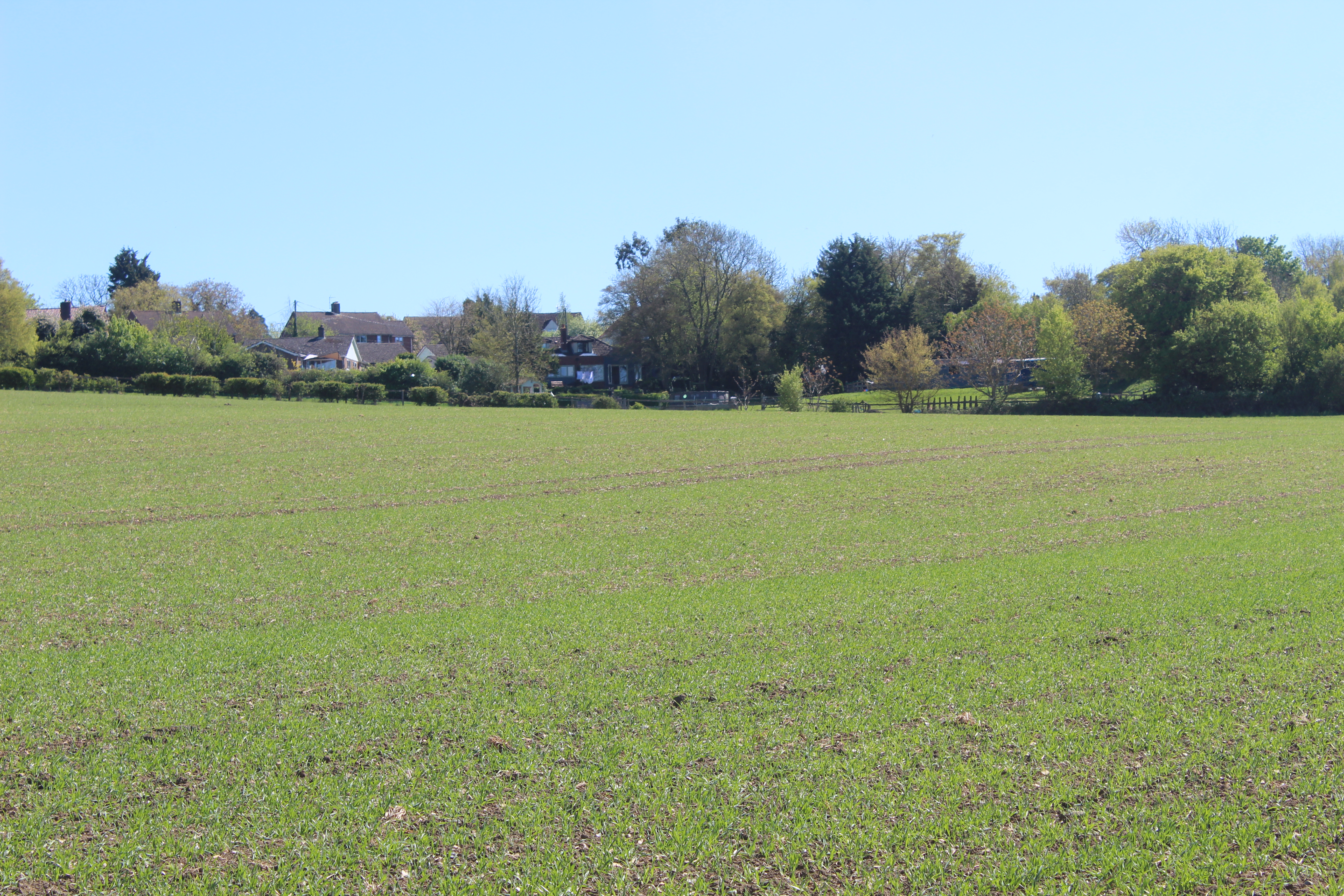 Bartlow Road, Hadstock photo 5