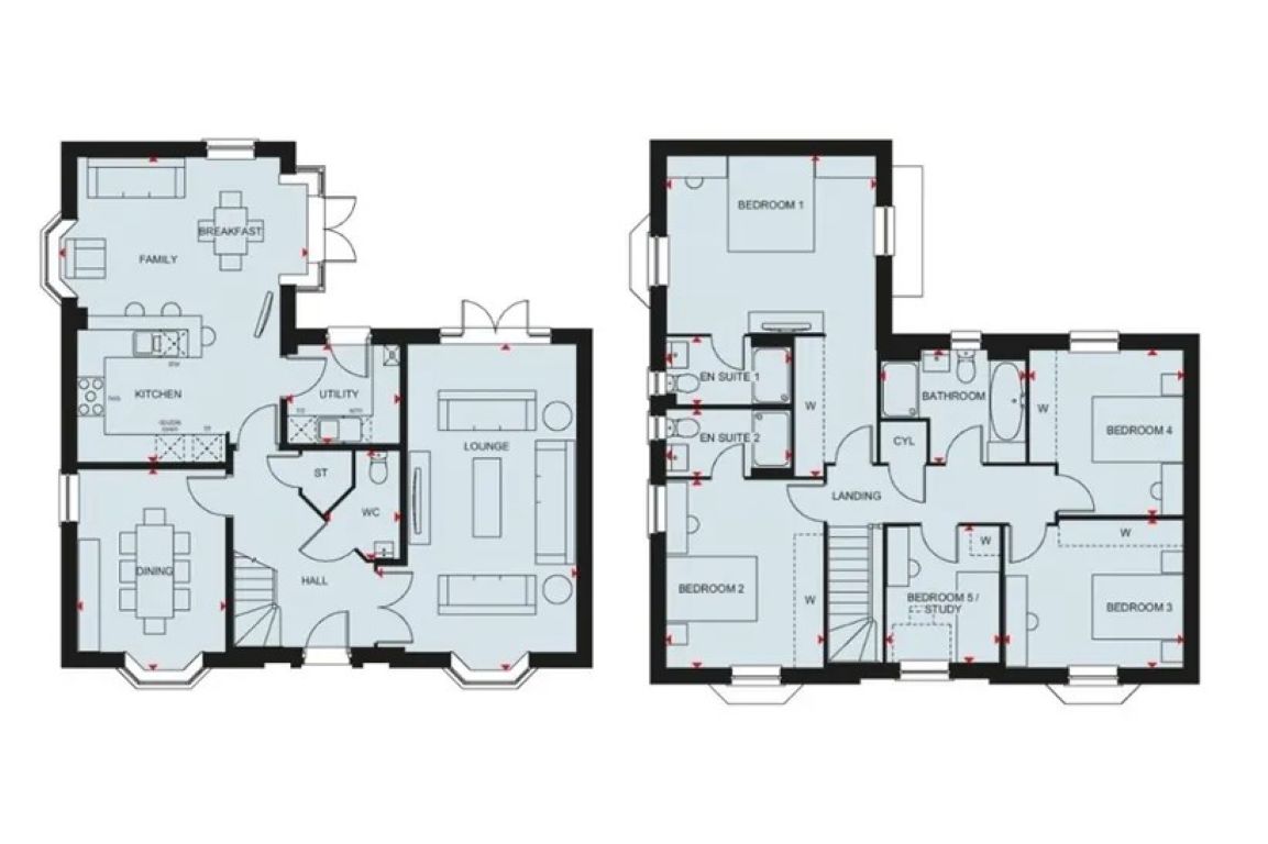 Plot 100 Henley Gate, David Wilson Homes, Henley Gate, Ipswich floorplan