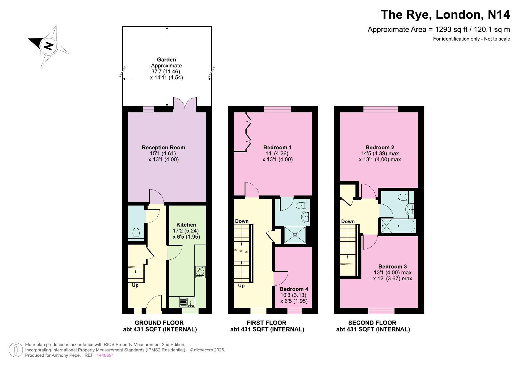 17, The Rye, London floorplan
