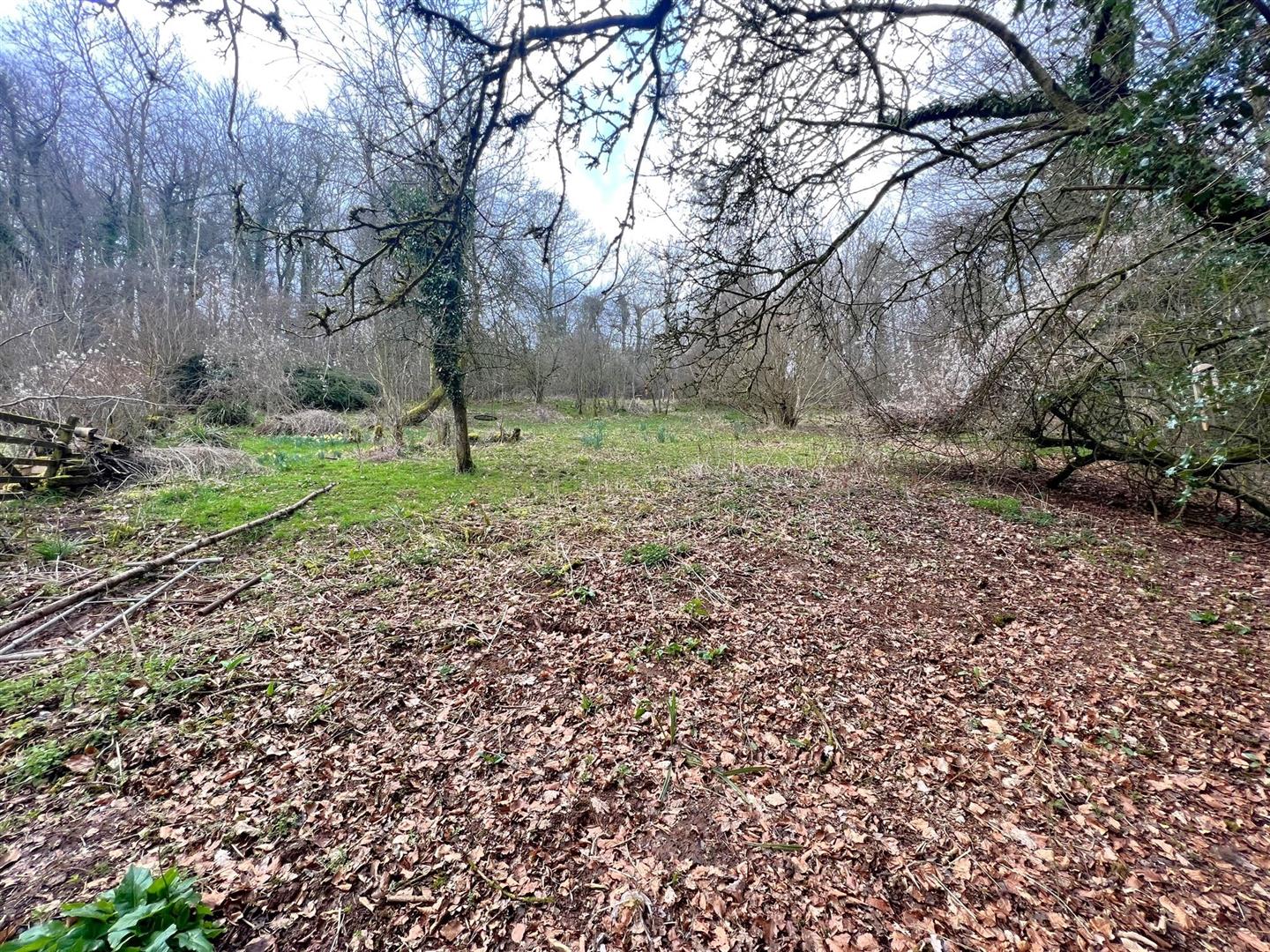 Photos of Wigpool, Mitcheldean GL17 64297467 PrimeLocation