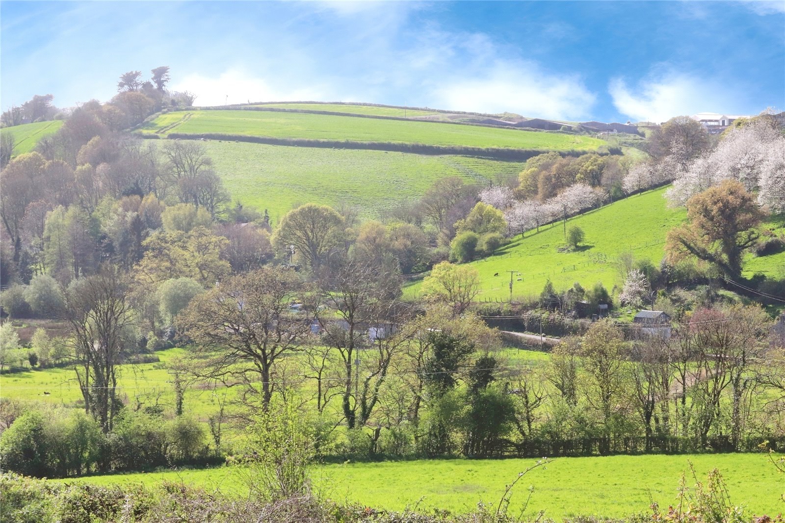 Photos of Landcross, Bideford EX39 67180041 PrimeLocation