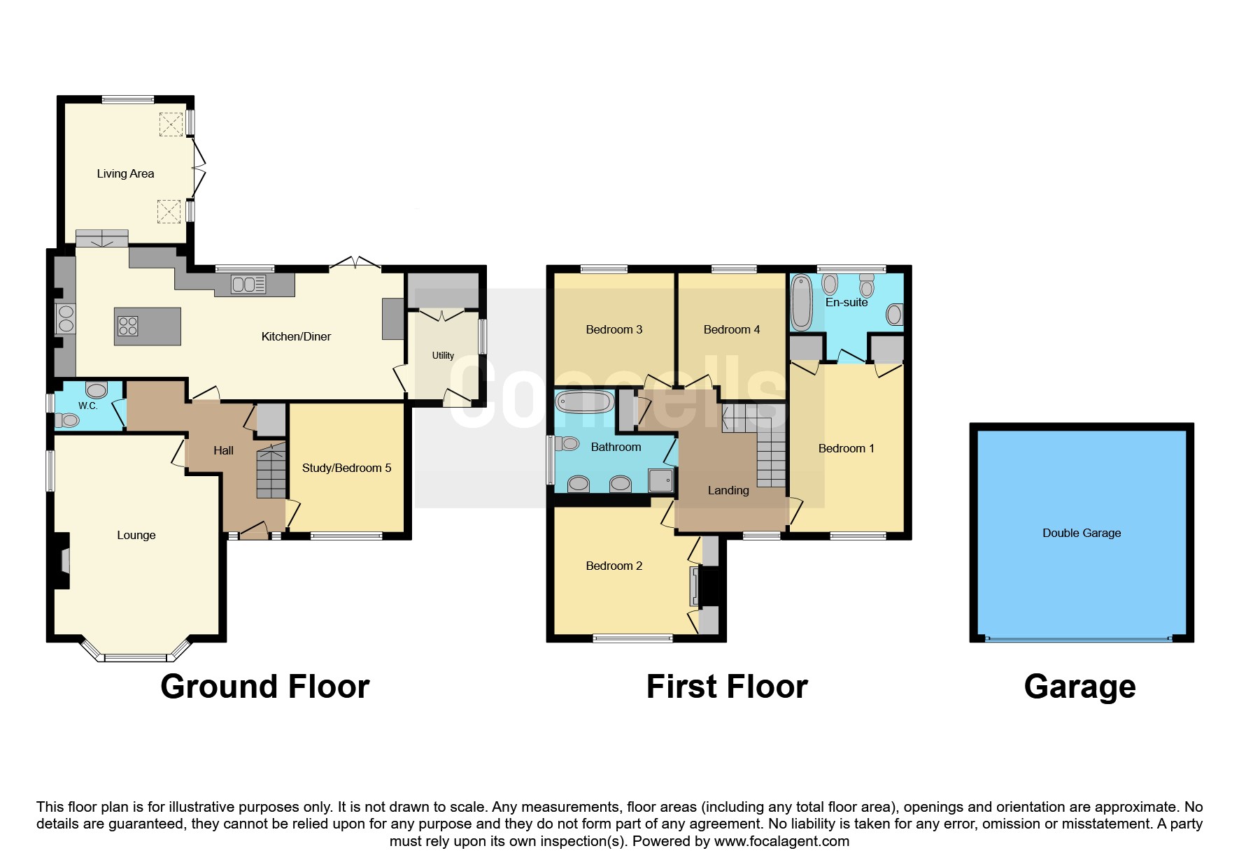 Southview, South Road, Newton Abbot floorplan