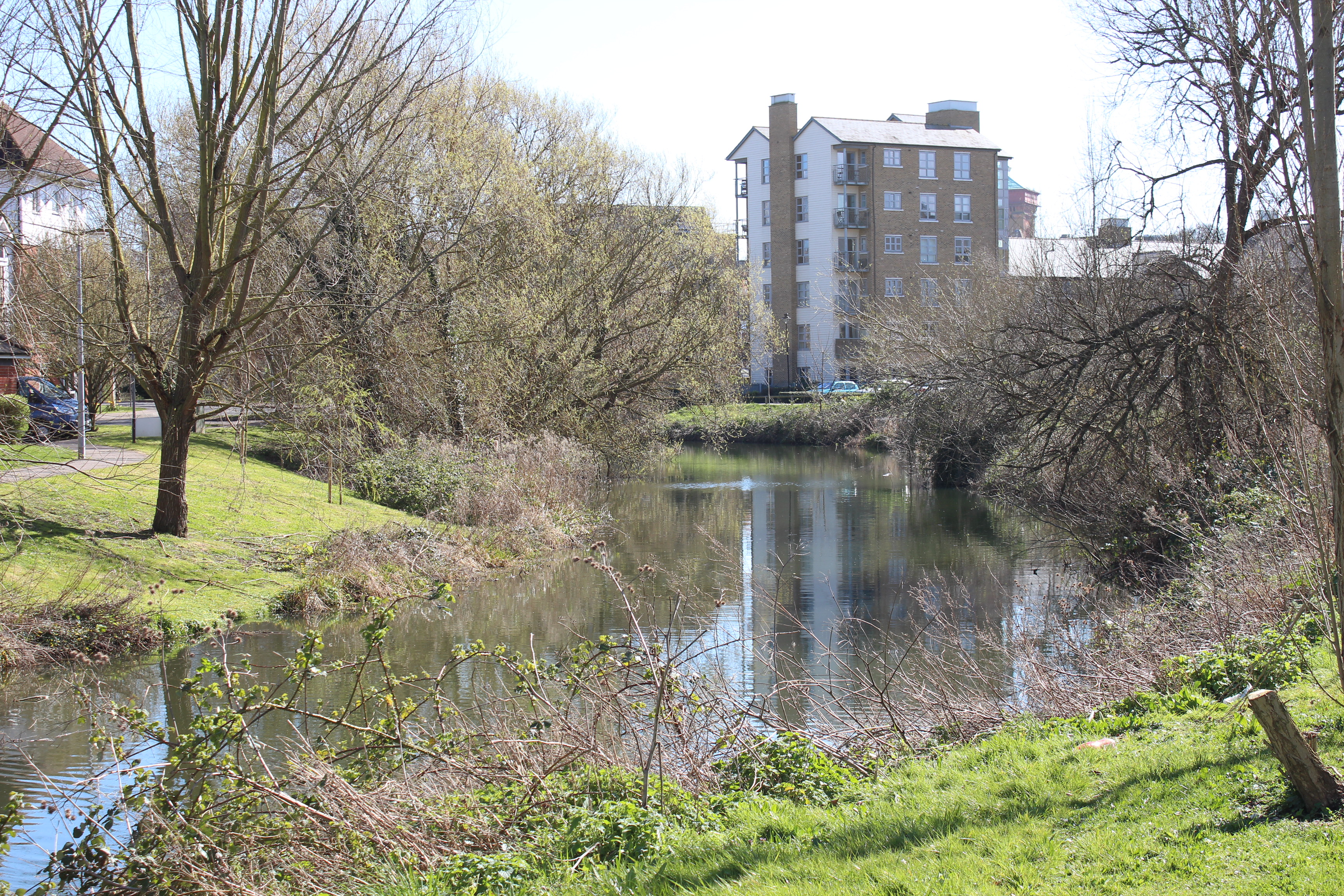 49, Rotary Way, Colchester photo 4