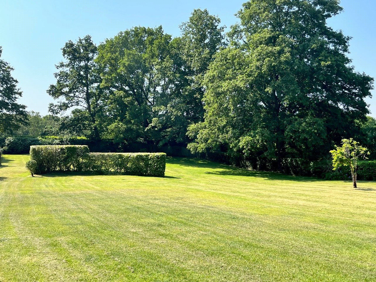 Photos of Ryedown Lane, East Wellow, Hampshire SO51 64888066