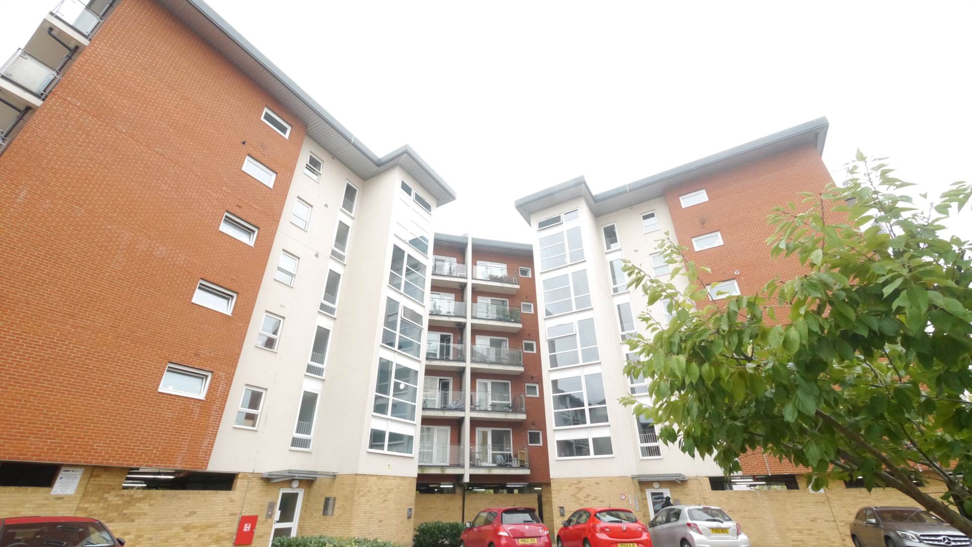 157, Clarkson Court, Hatfield photo 5