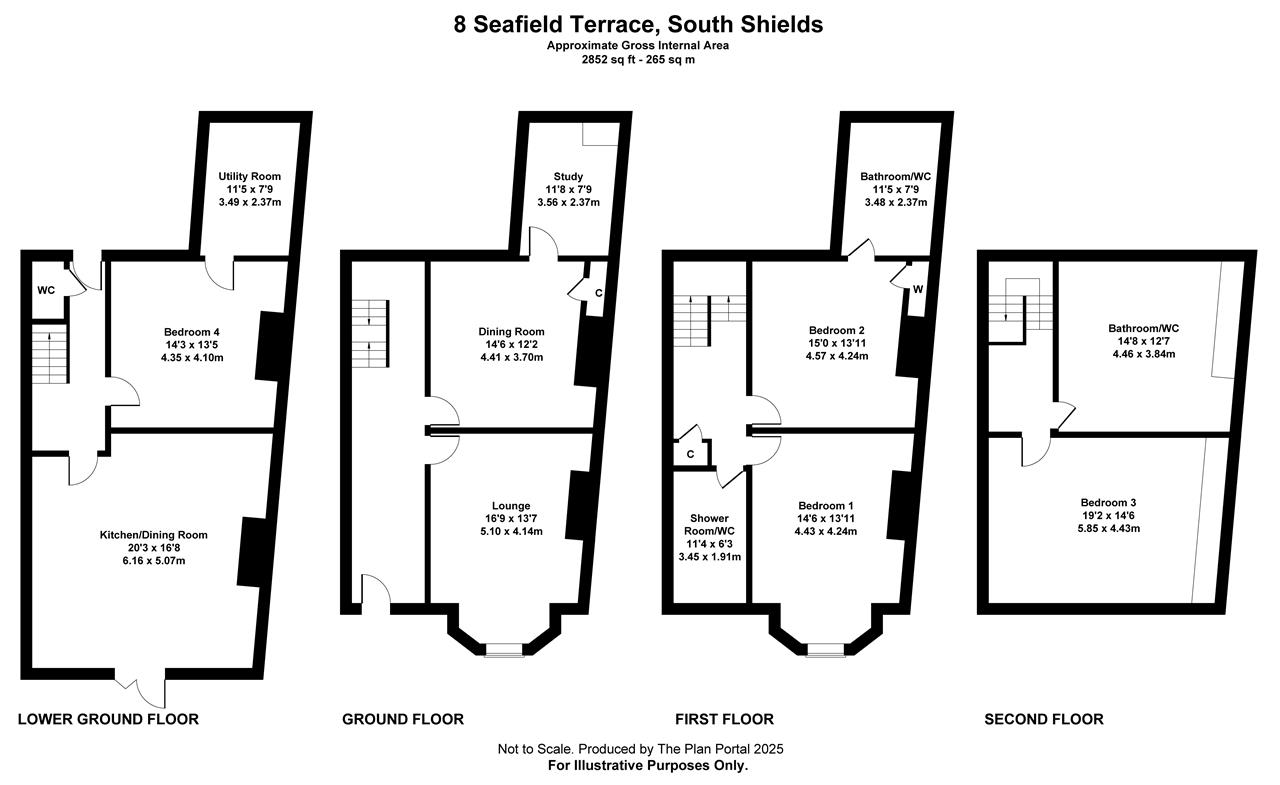 8, Seafield Terrace, South Shields floorplan