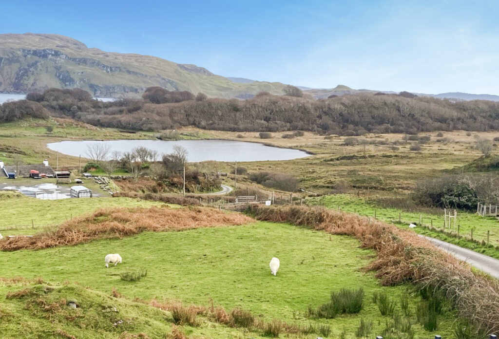 Braeview, Balvicar, Oban photo 4
