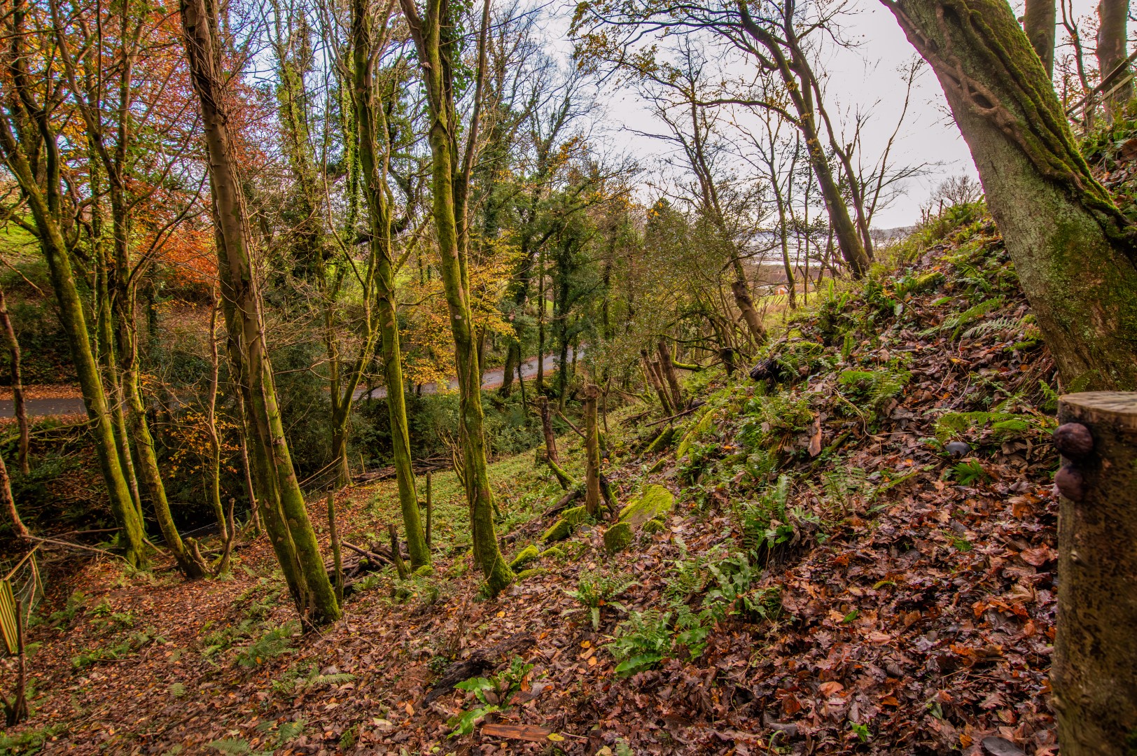 Photos of Pwll, Llanelli SA15 66206629 PrimeLocation