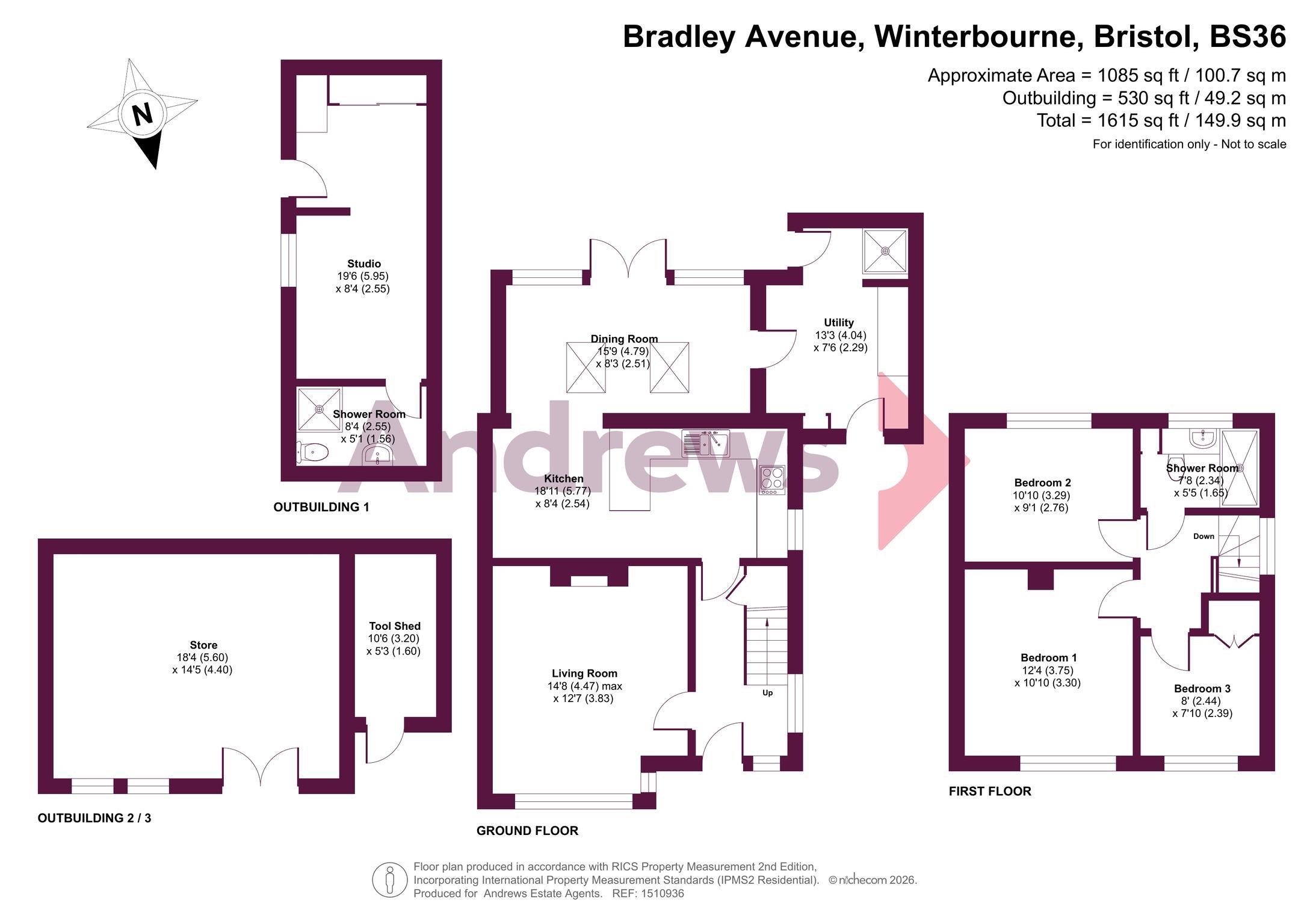 41, Bradley Avenue, Bristol floorplan
