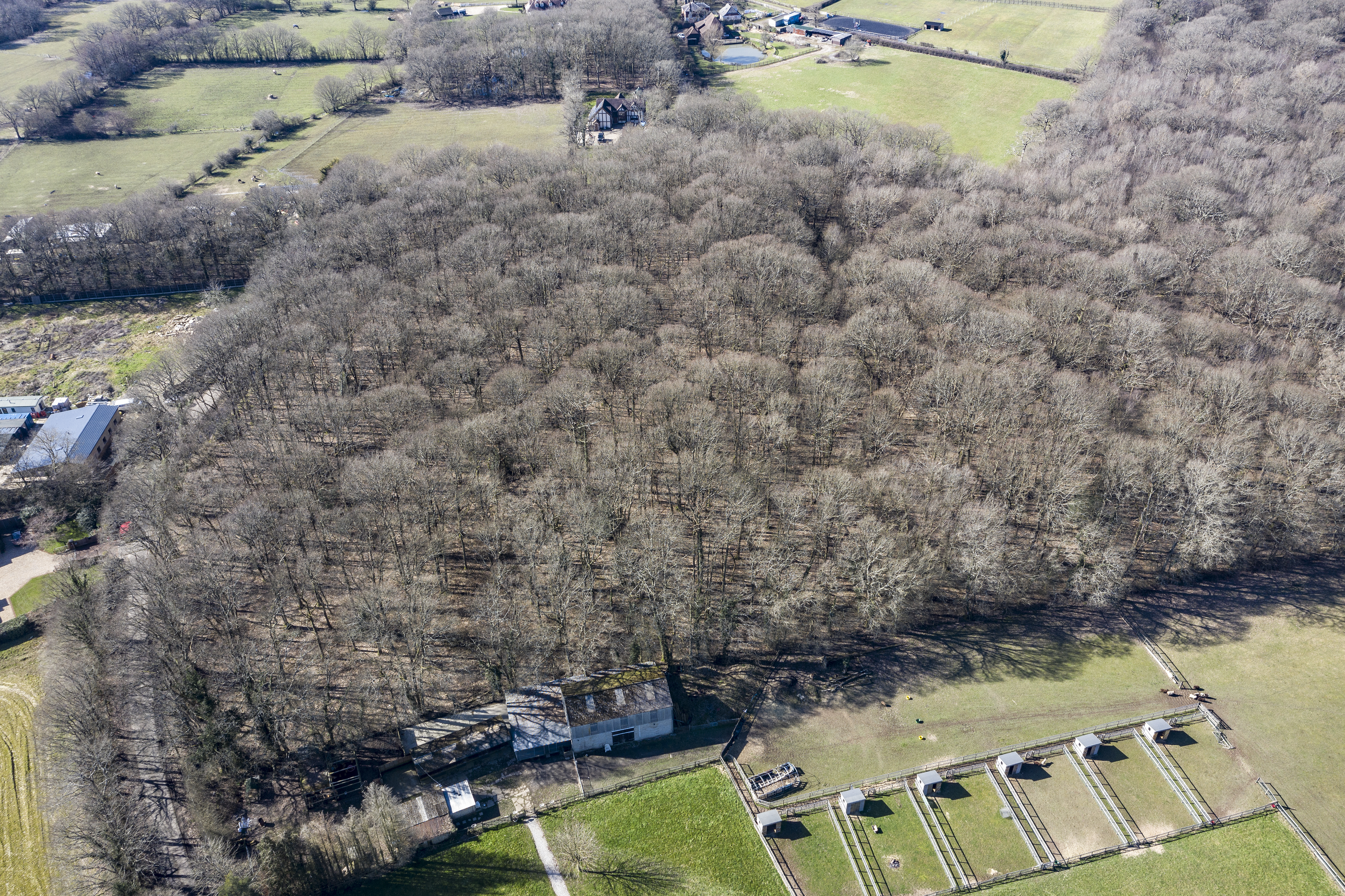 Brissenden Green Barn, Brissenden Green Lane, Bethersden, Ashford, TN26 3JX - listing photo