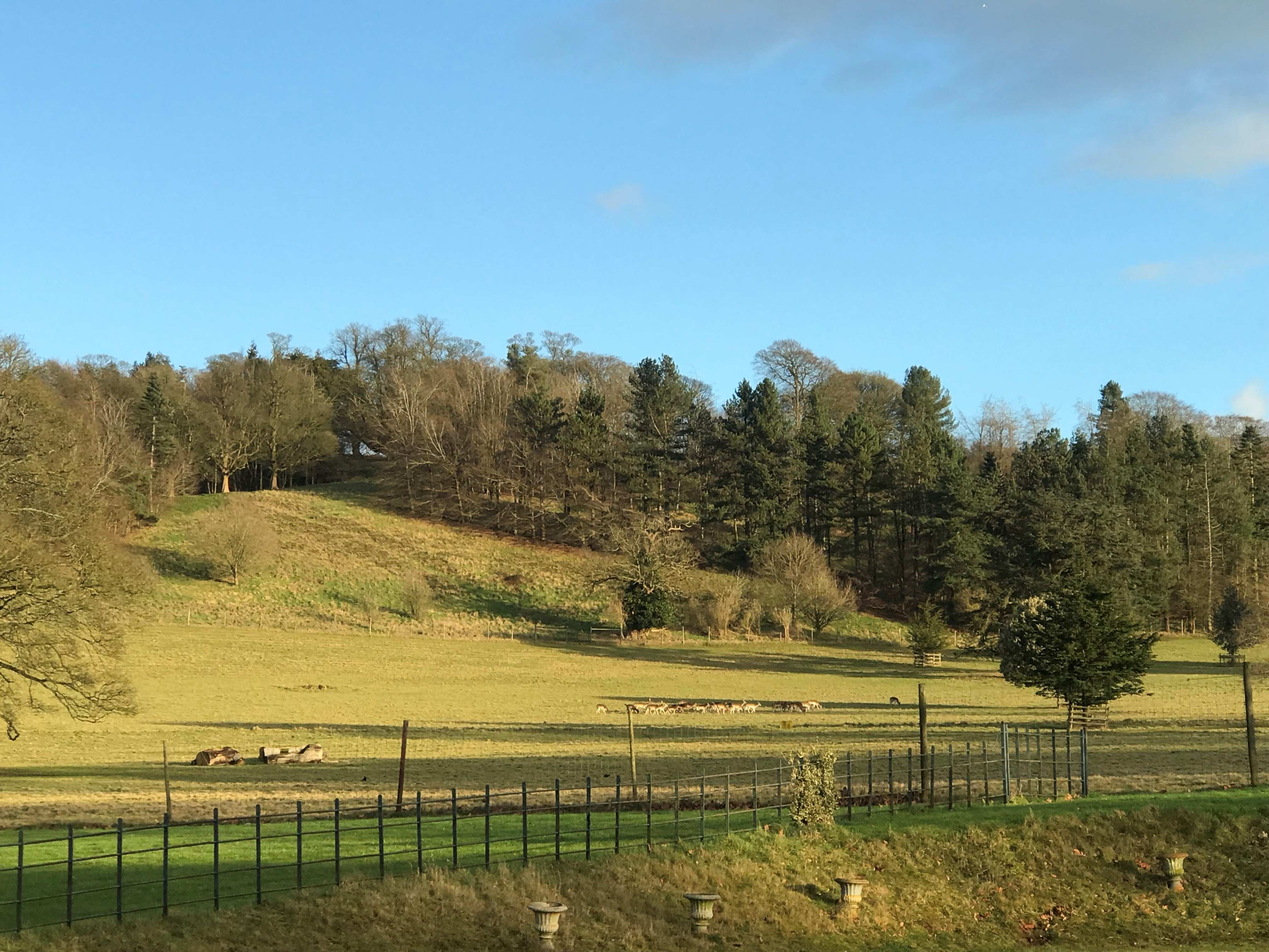 Photos of The Old Woodyard, Hall Lane, Hagley DY9 66155397