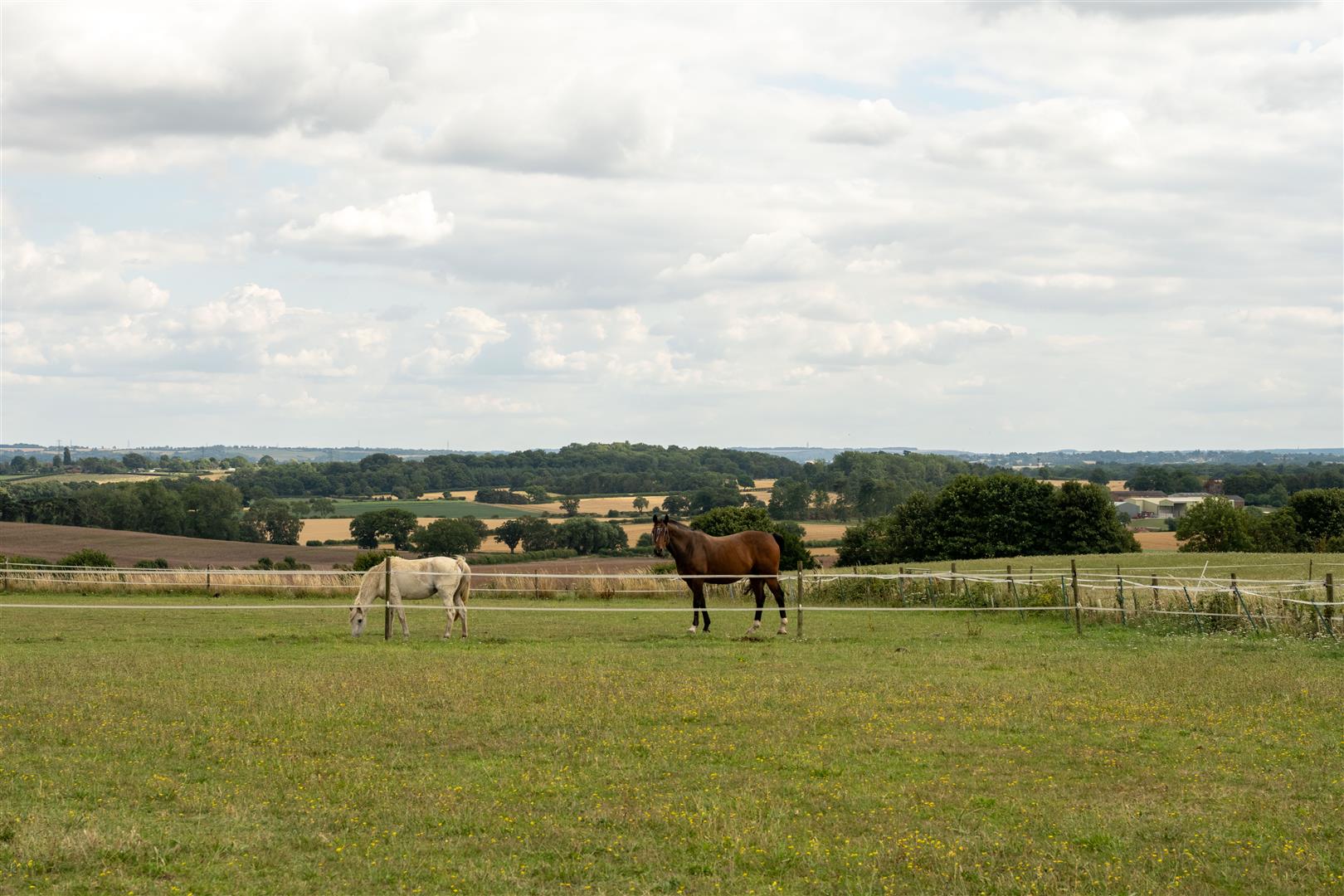 4 bedroom detached house for sale 0
