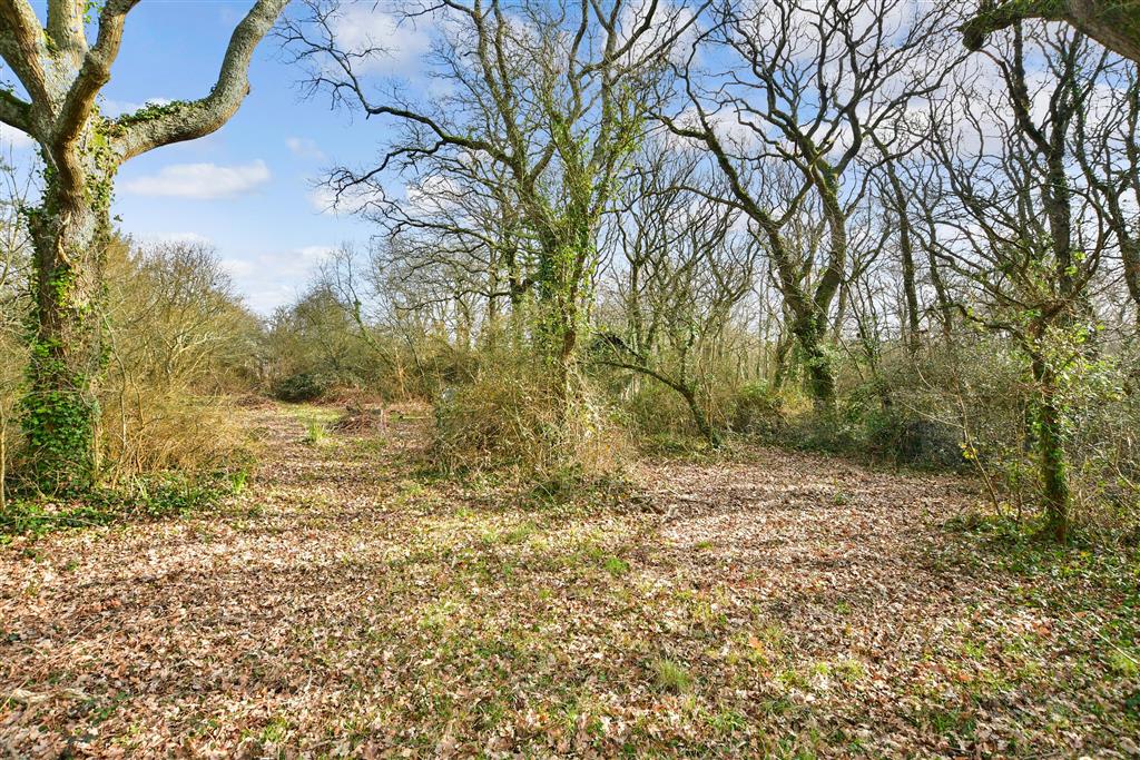 Photos of Solent Road, Cranmore, Yarmouth, Isle Of Wight PO41