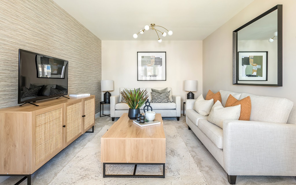 Plenty Of Space For Two Sofas