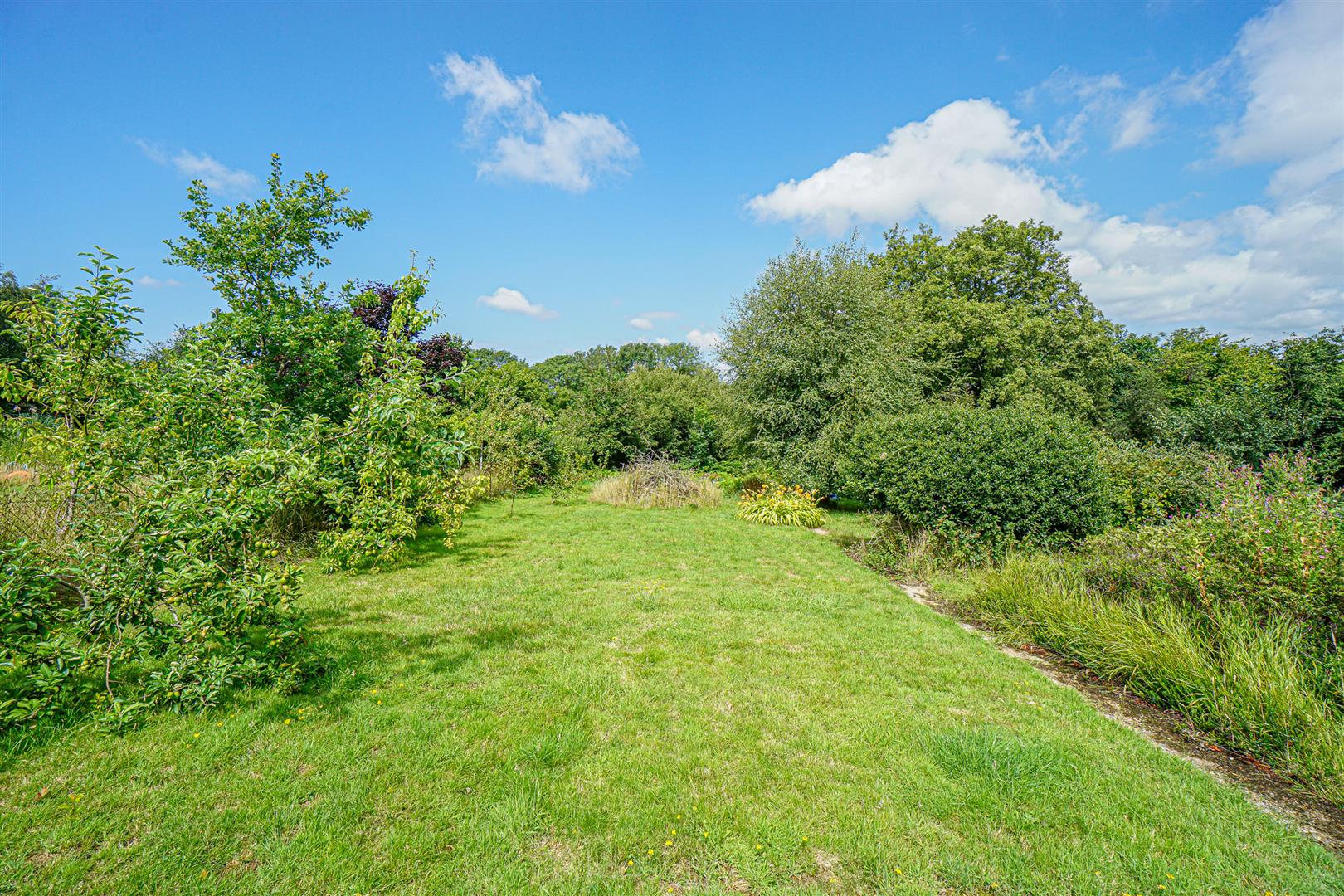 Vale View, 101, Rye Road, Hastings photo 4