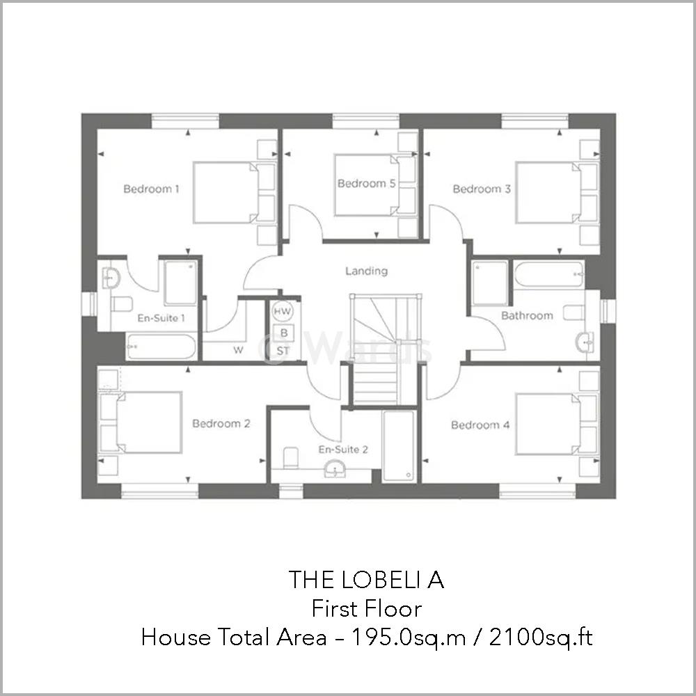 The Lobelia, Grasmere Gardens, Whitstable floorplan