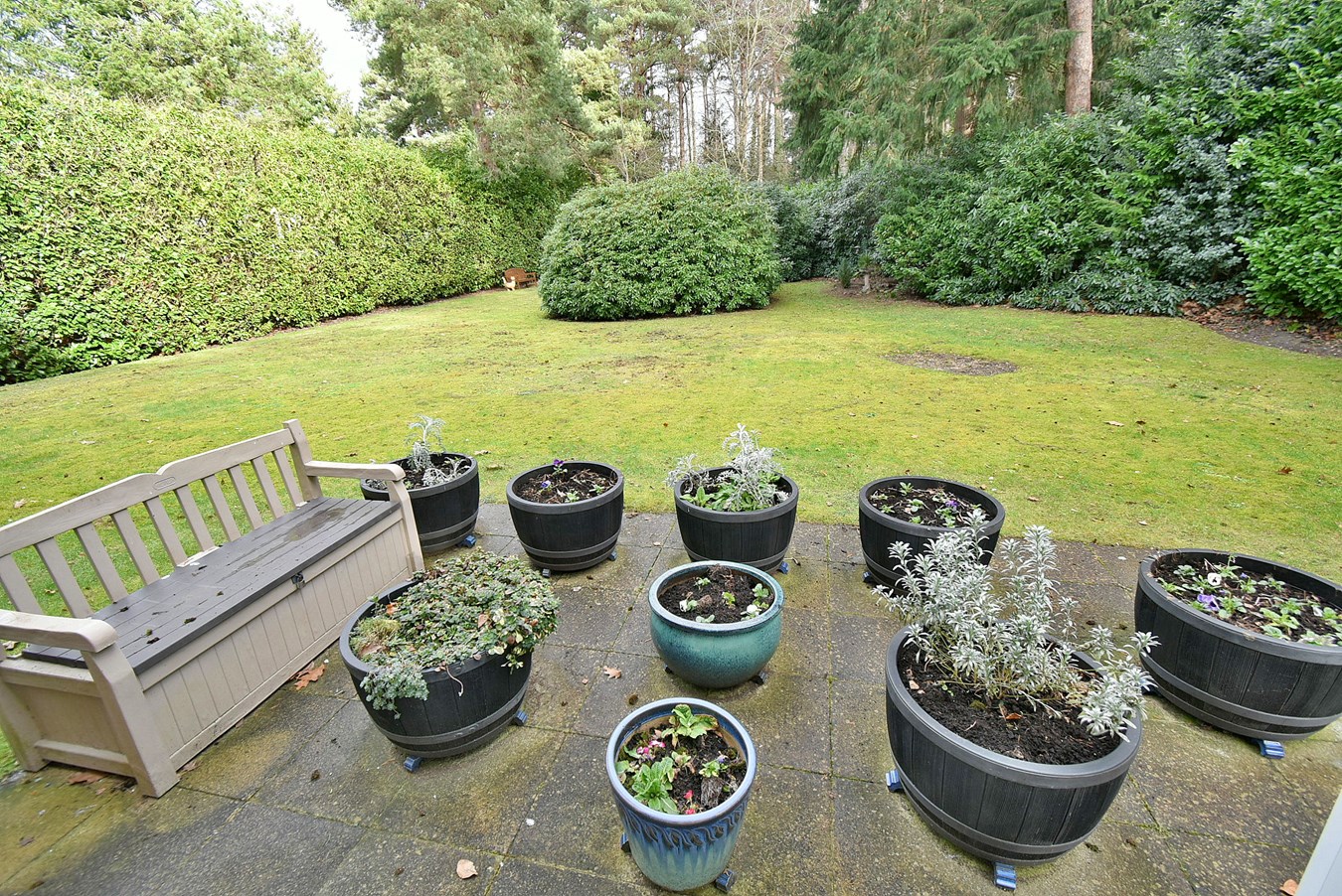 Photos of Dudsbury Avenue, Ferndown BH22 63905665 PrimeLocation