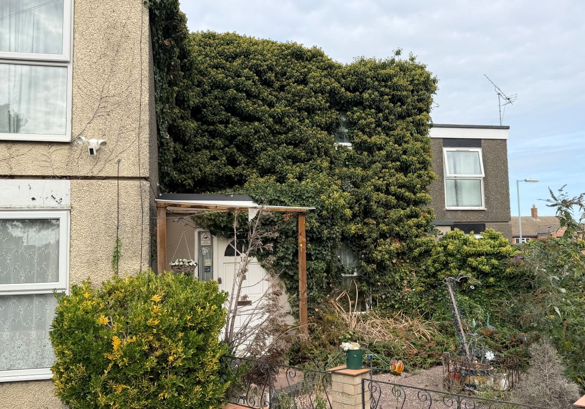 12, Windmill Lane, Cambridge photo 4