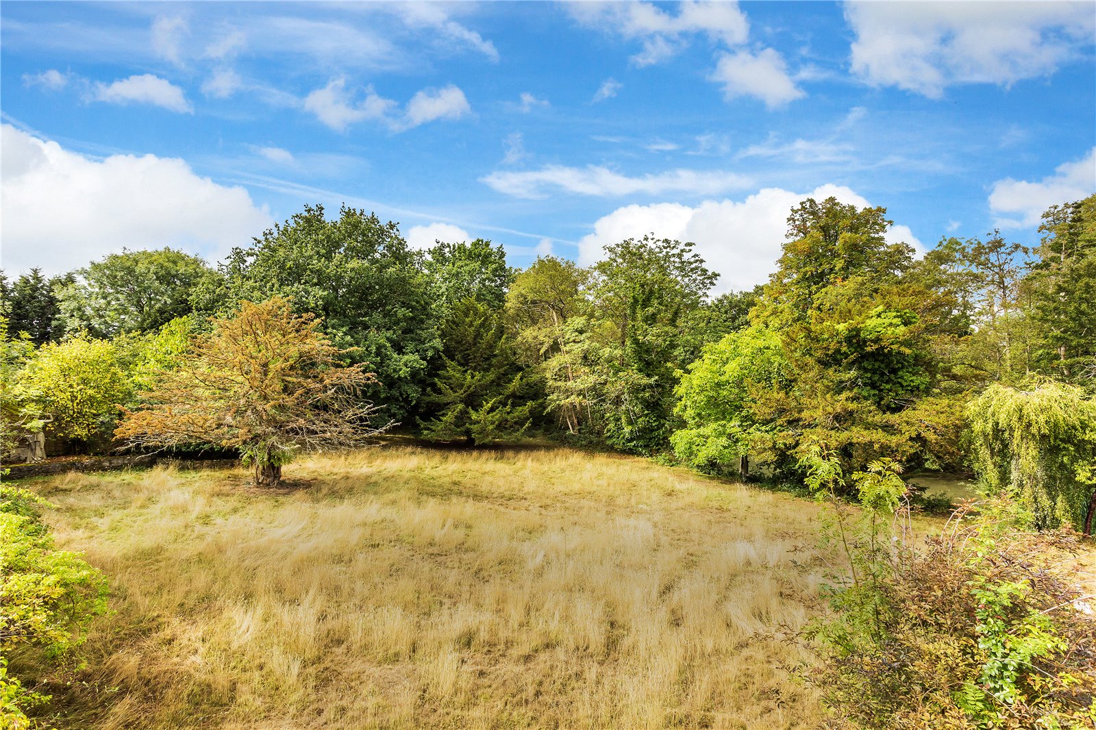 Photos of Horsham Road, Capel, Dorking, Surrey RH5 62340157