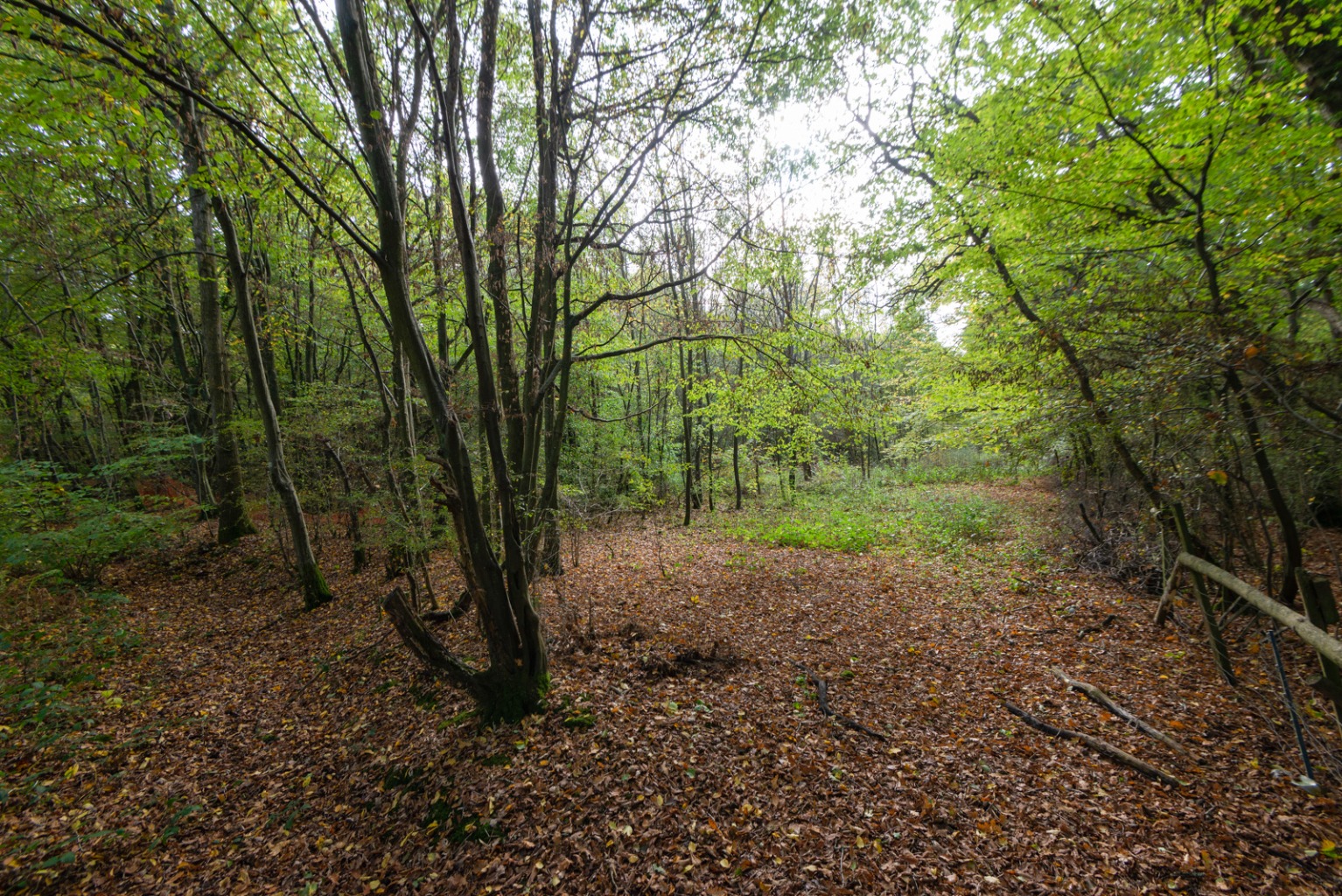 Photos of Bromley Green Road, Ruckinge, Ashford TN26 63188353 PrimeLocation