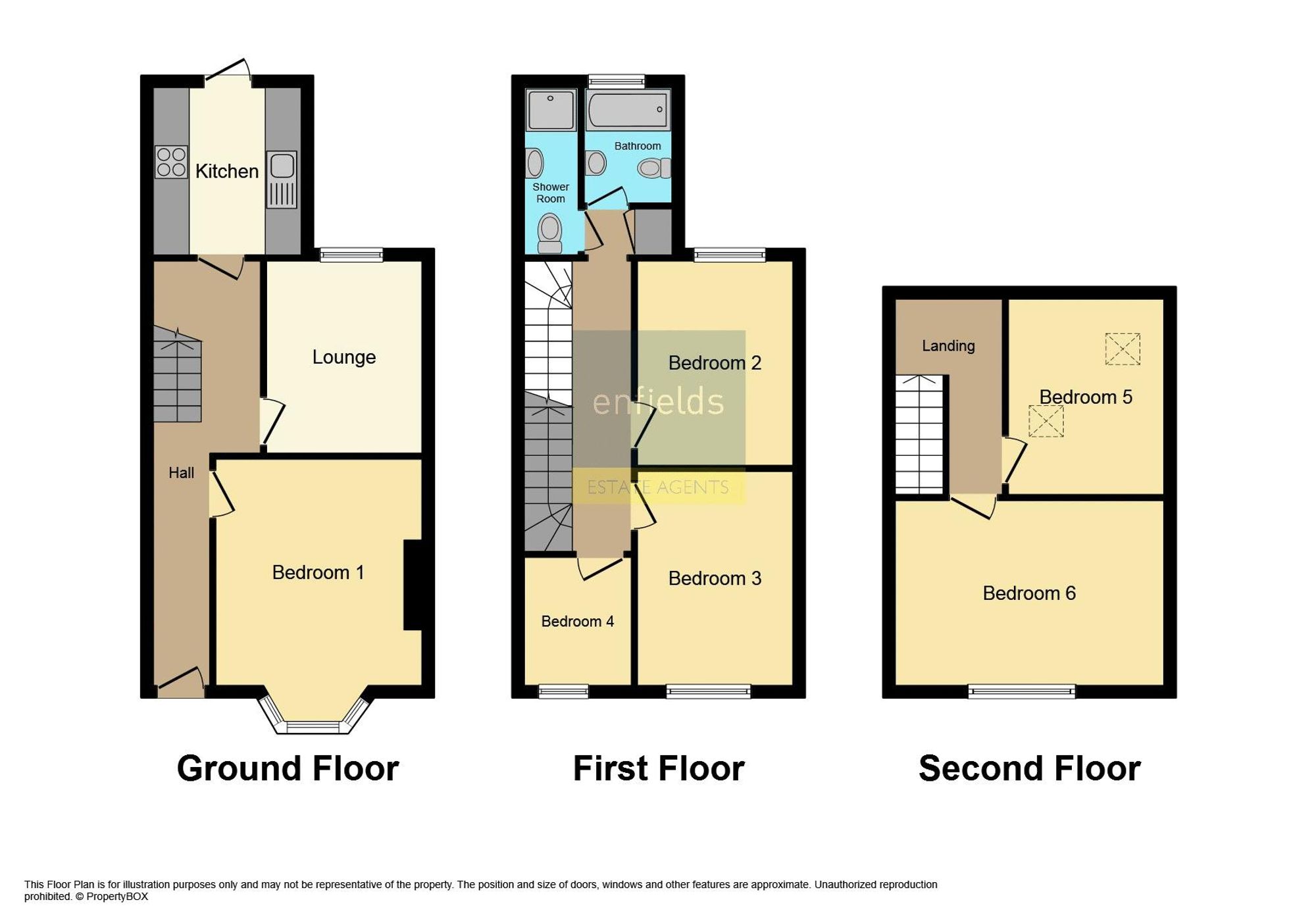 29 Windham Road, Bournemouth floorplan