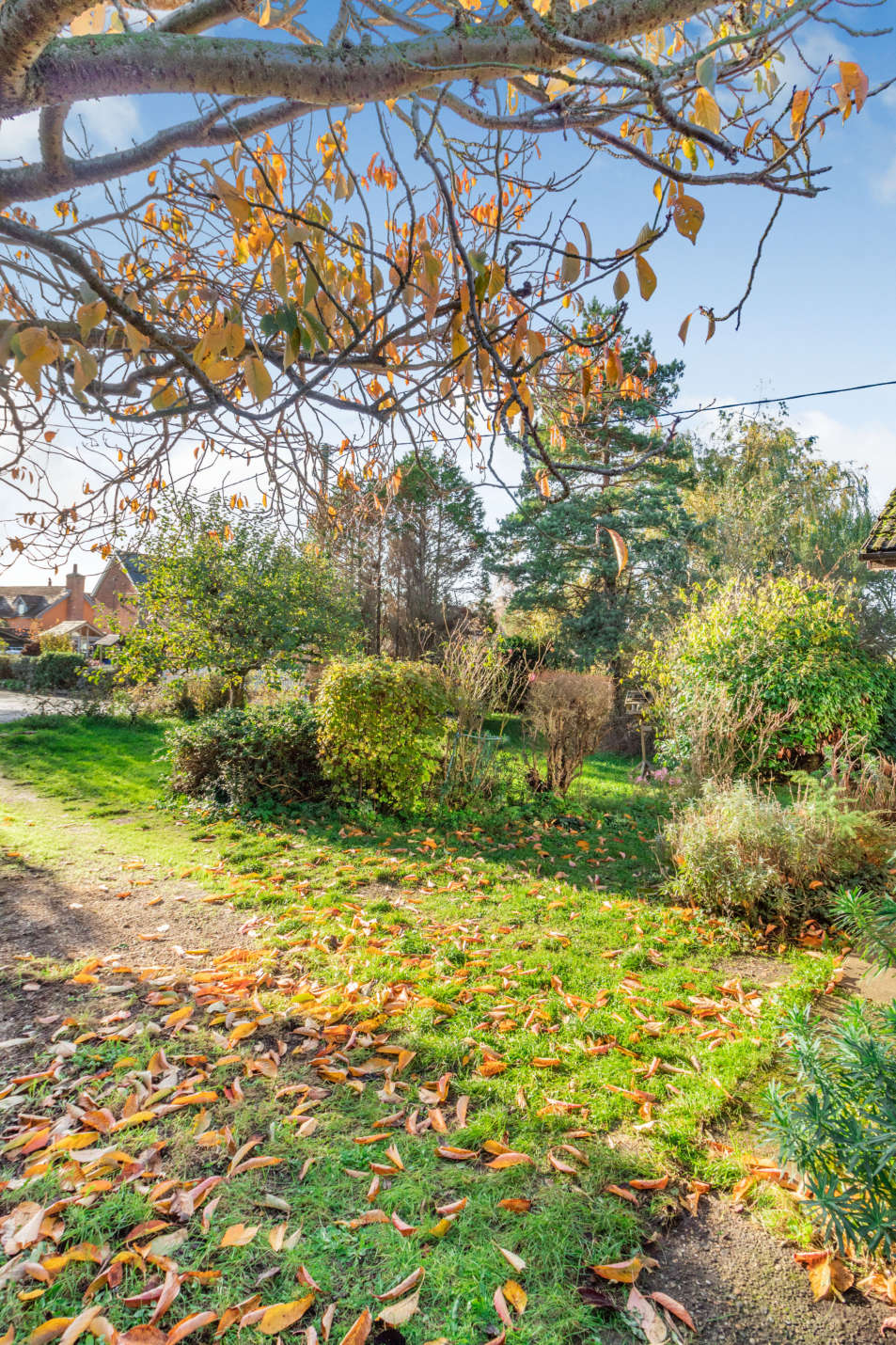 The Street, Harkstead, Ipswich, Suffolk IP9, 3 bedroom bungalow for