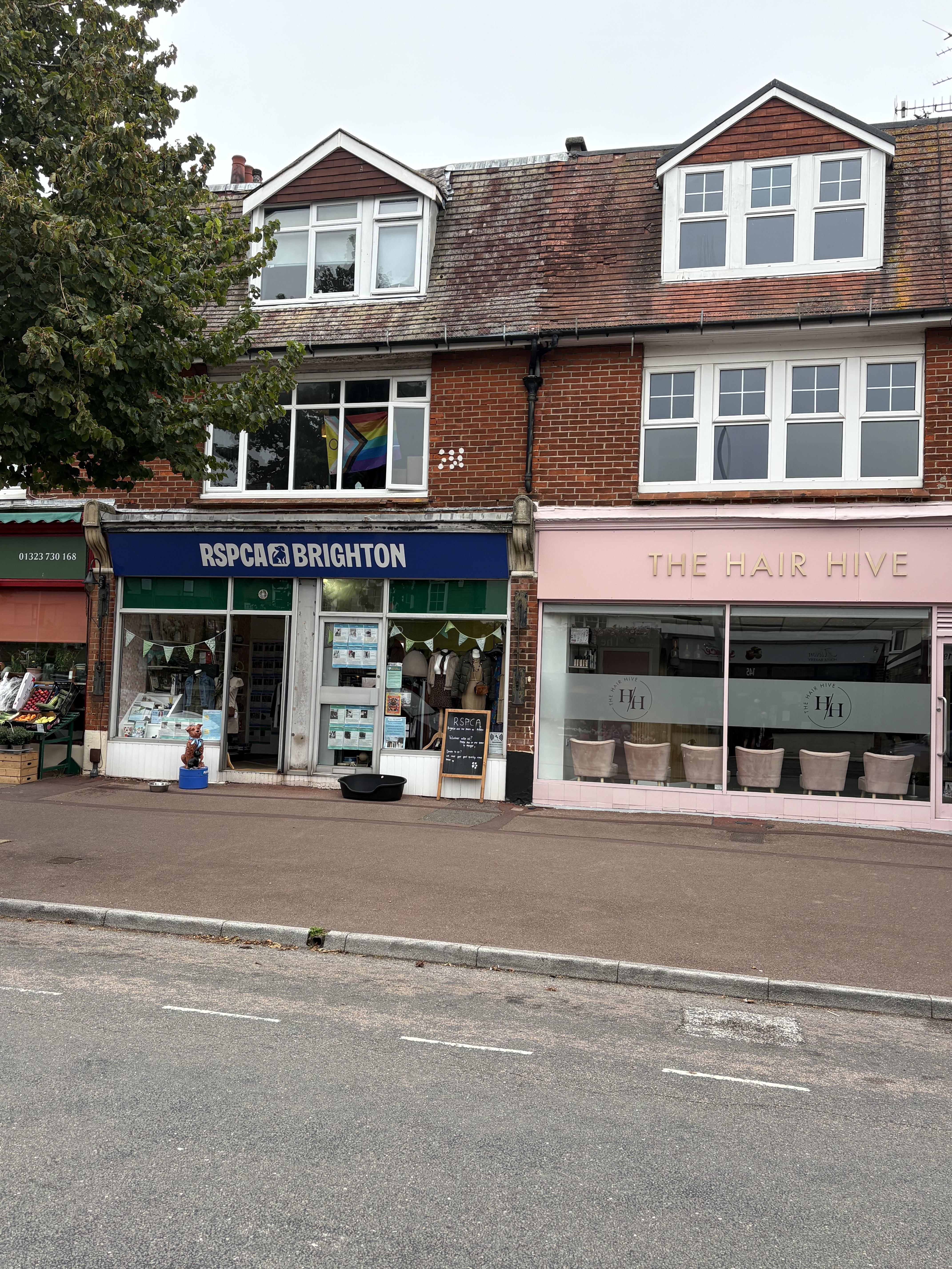 15A, Albert Terrace, Eastbourne photo 4