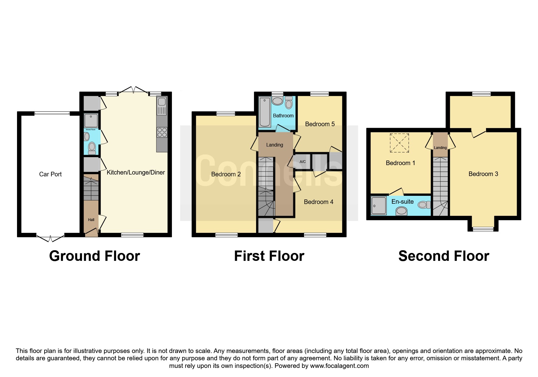 10, Colet Crescent, Colchester floorplan