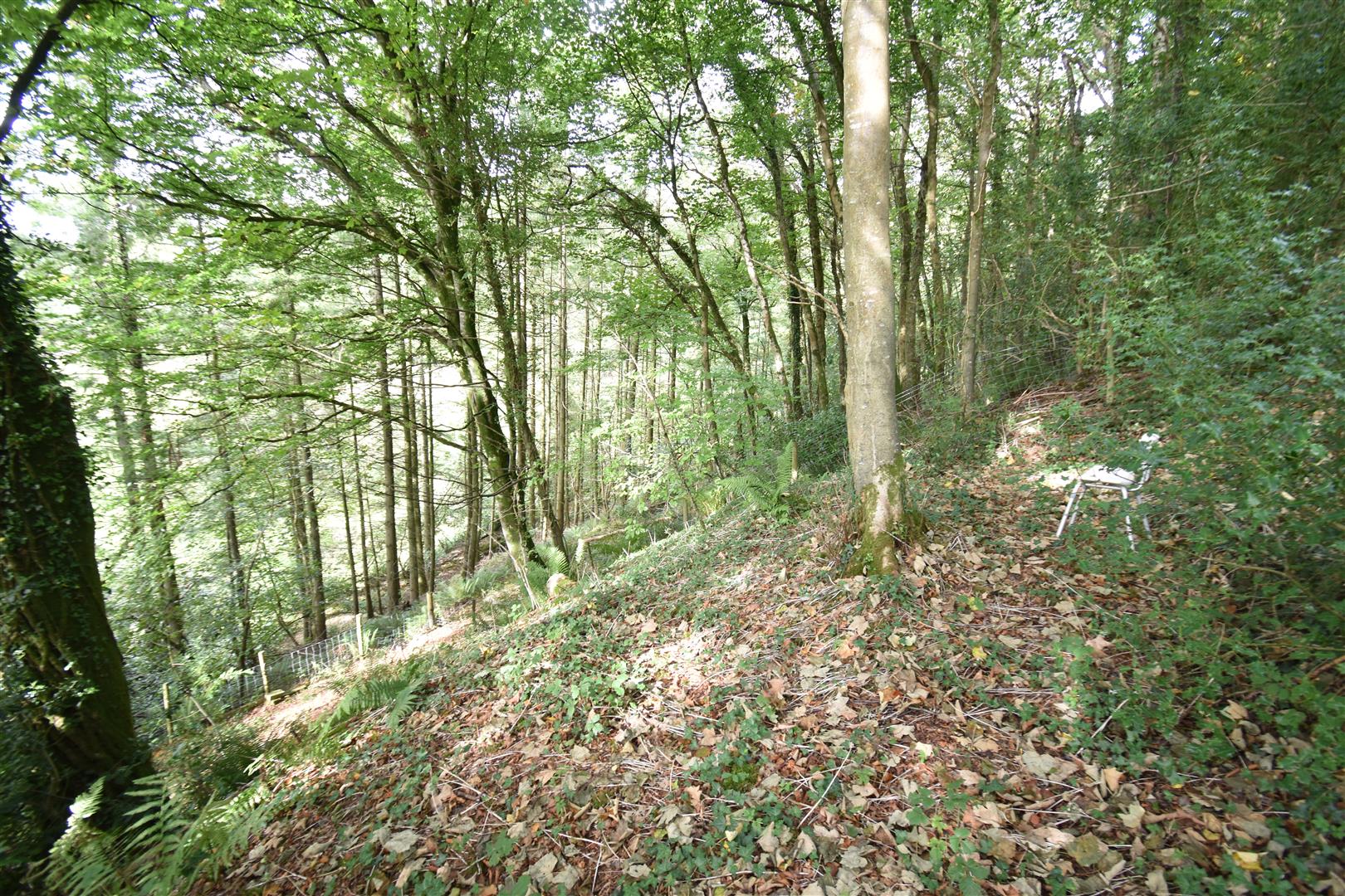 Photos of Llangranog Road, Rhydlewis, Llandysul SA44 62573875