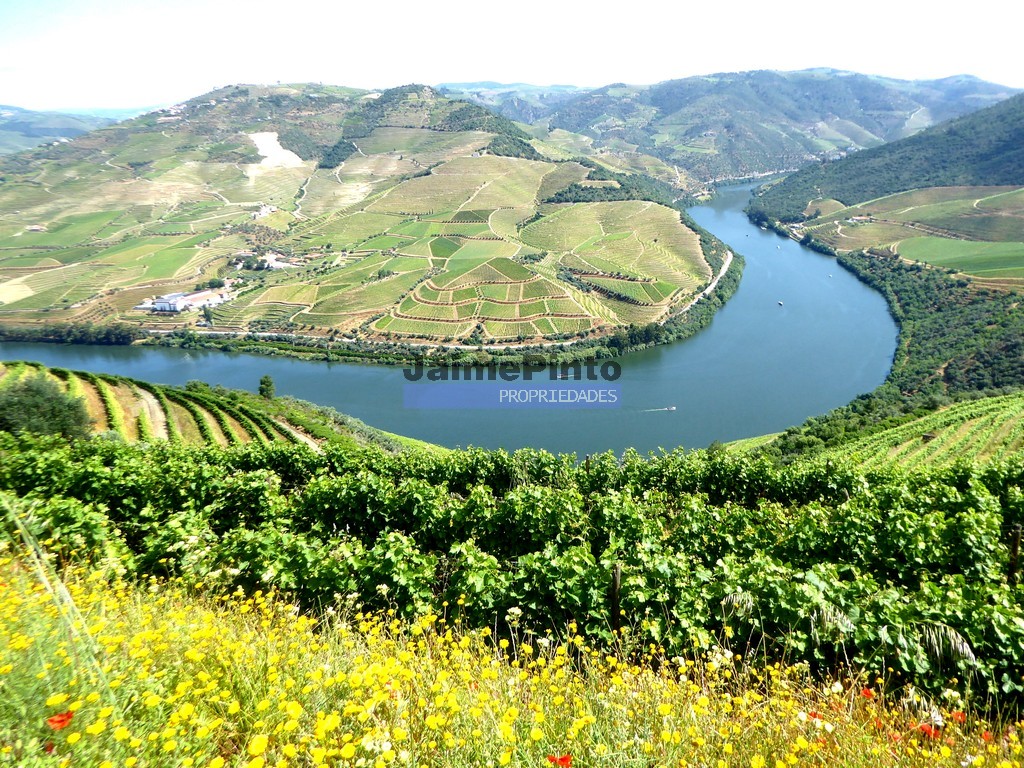 Photos of 10Ha Porto Wine And DOC Estate, Pinhão, Alijó, Vila Real, Norte, Portugal 67600441