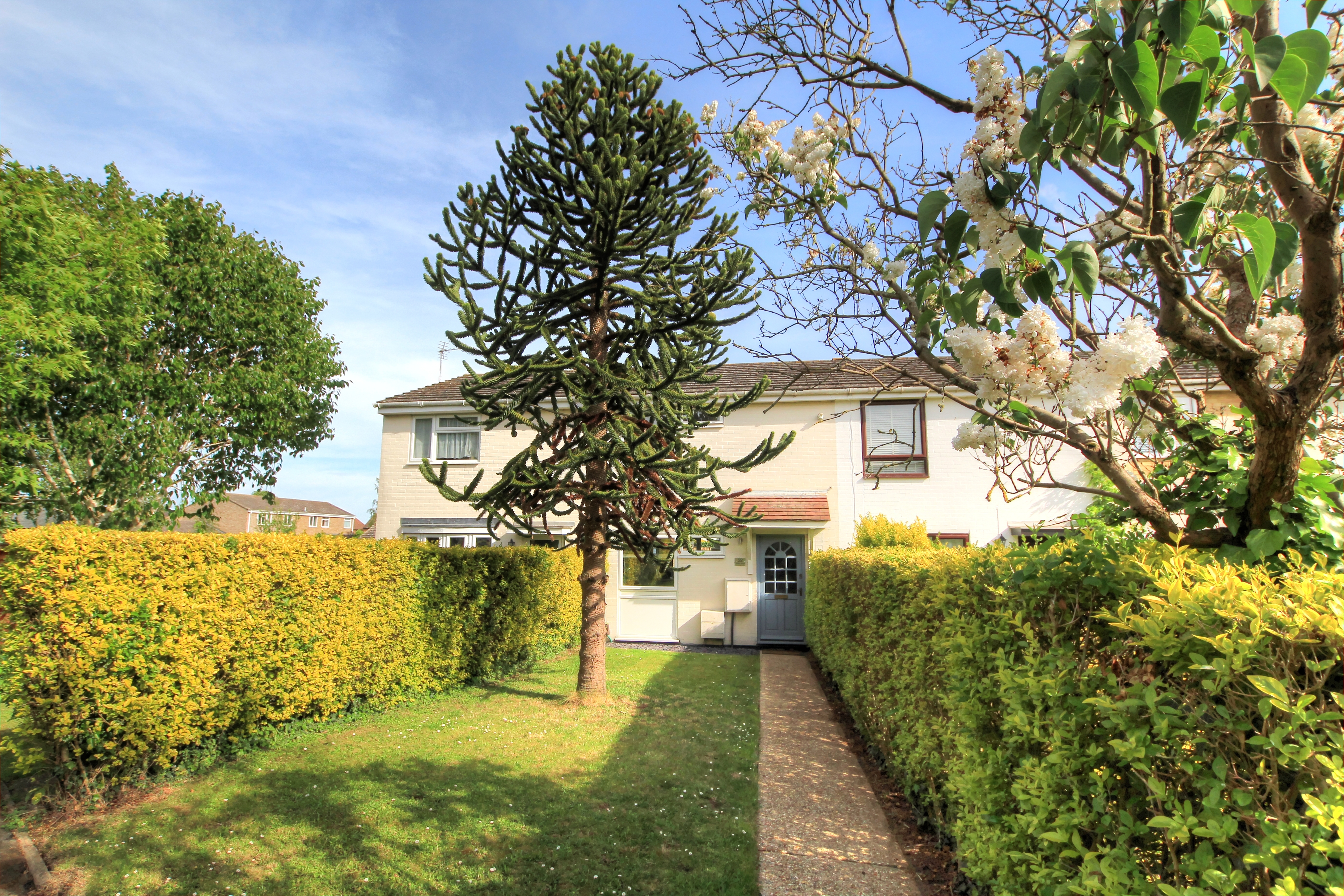 Home photo