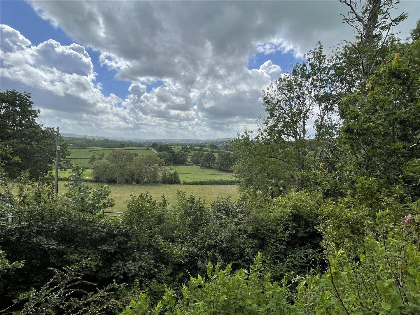 Photos of Gwynfe, Llangadog SA19 61675473 PrimeLocation