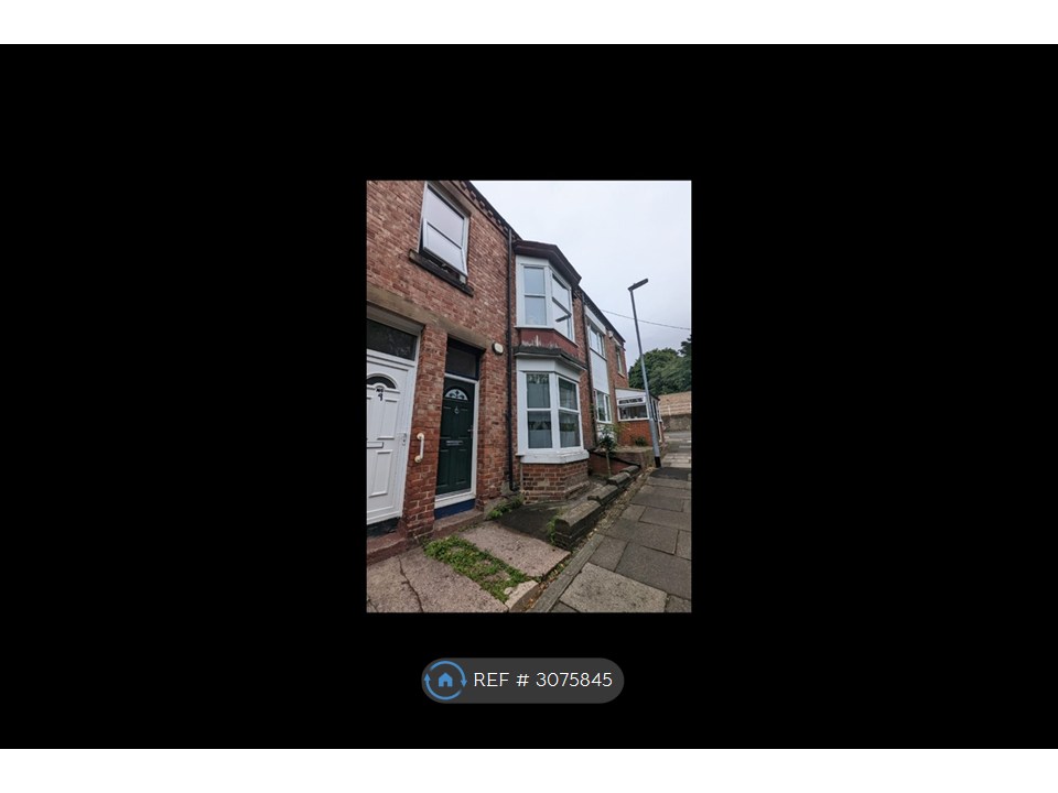 Villa View, Low Fell, Gateshead photo 2