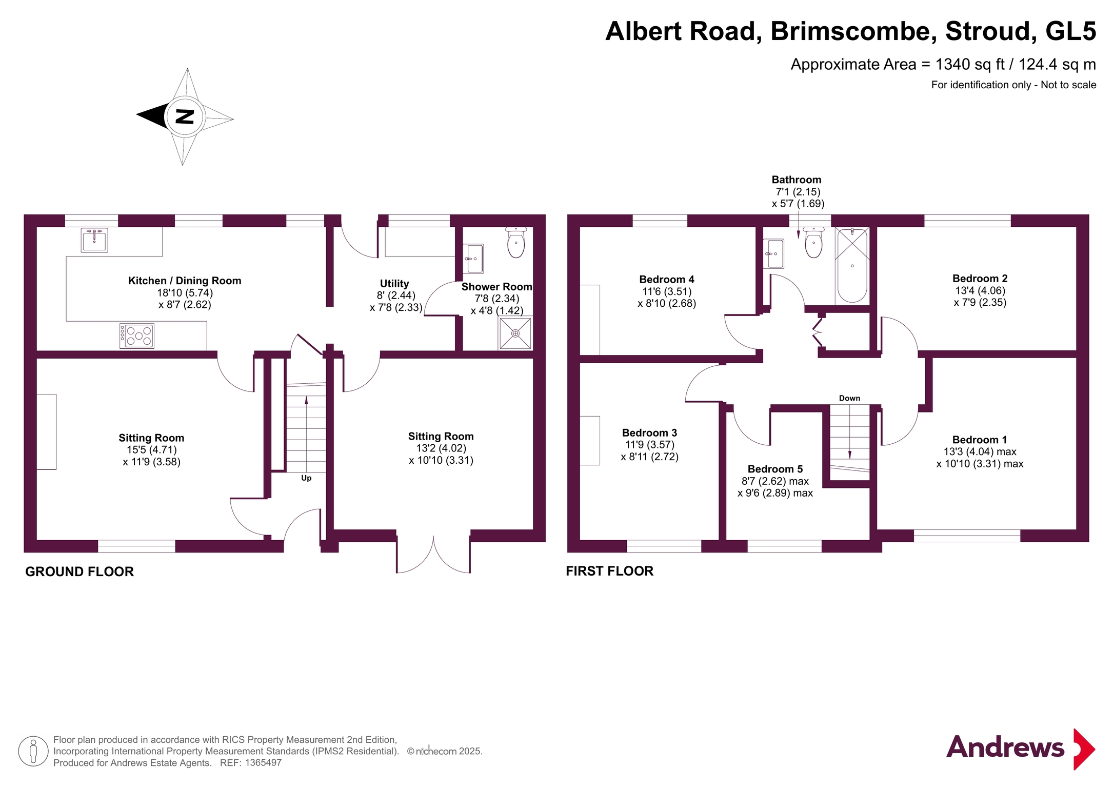 41, Albert Road, Stroud floorplan