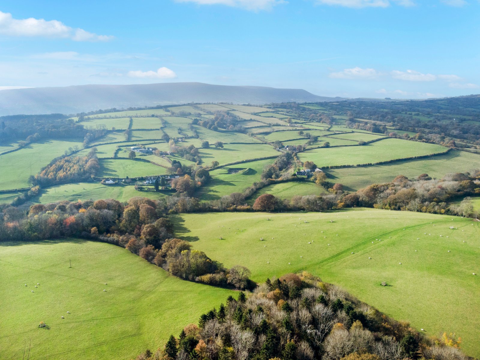 country house for sale 0